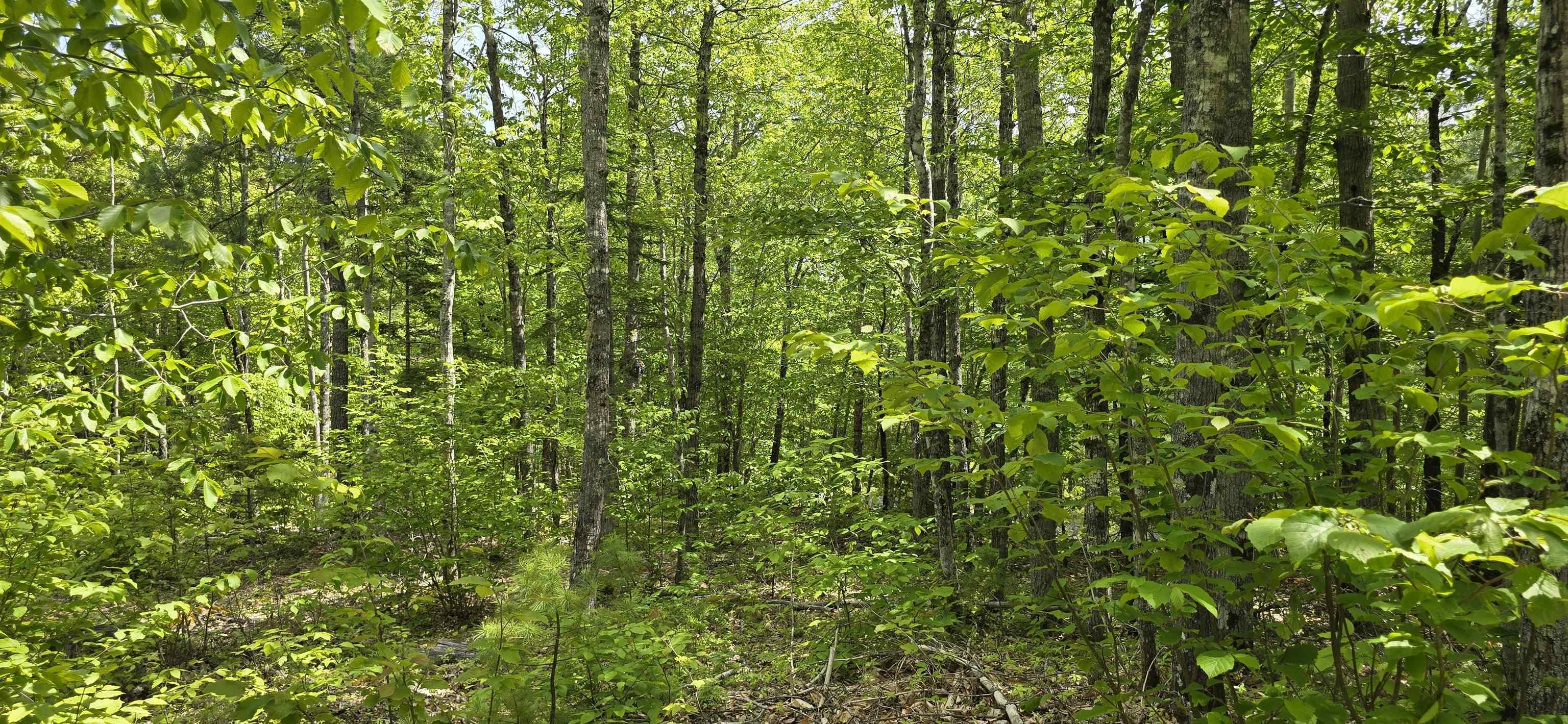 $38,900.00: Lot 24-4 East Clifford Road, East Clifford