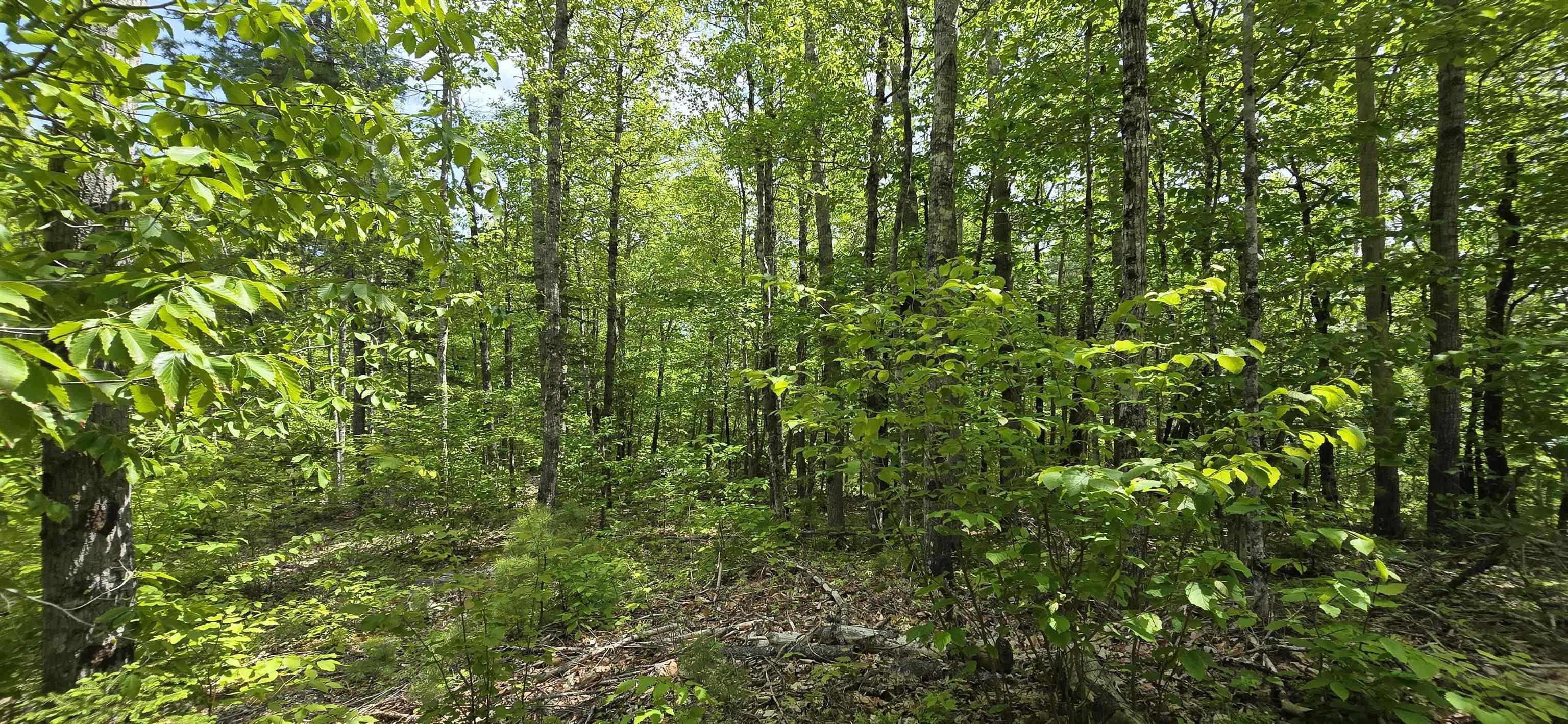 $38,900.00: Lot 24-4 East Clifford Road, East Clifford