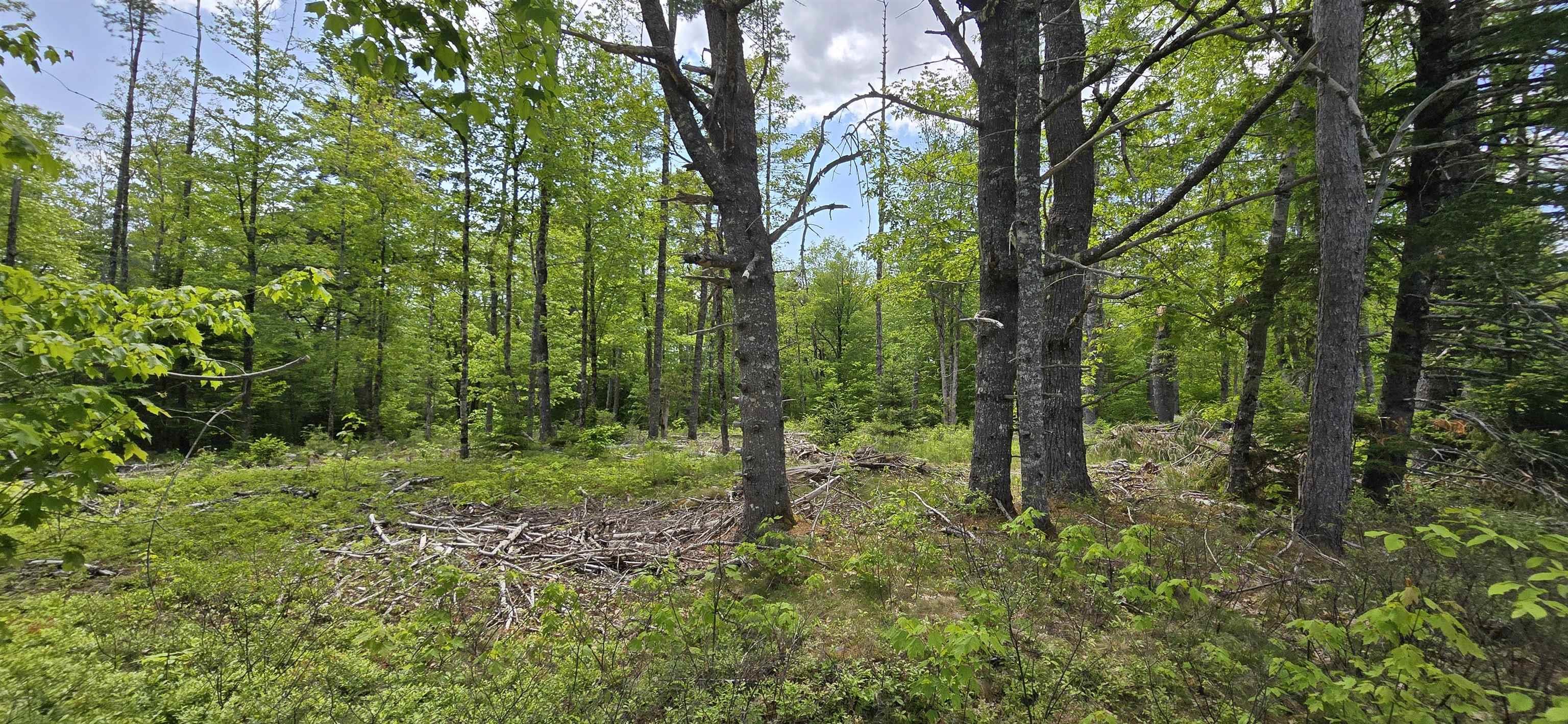 $31,900.00: Lot 24-6 East Clifford Road, East Clifford