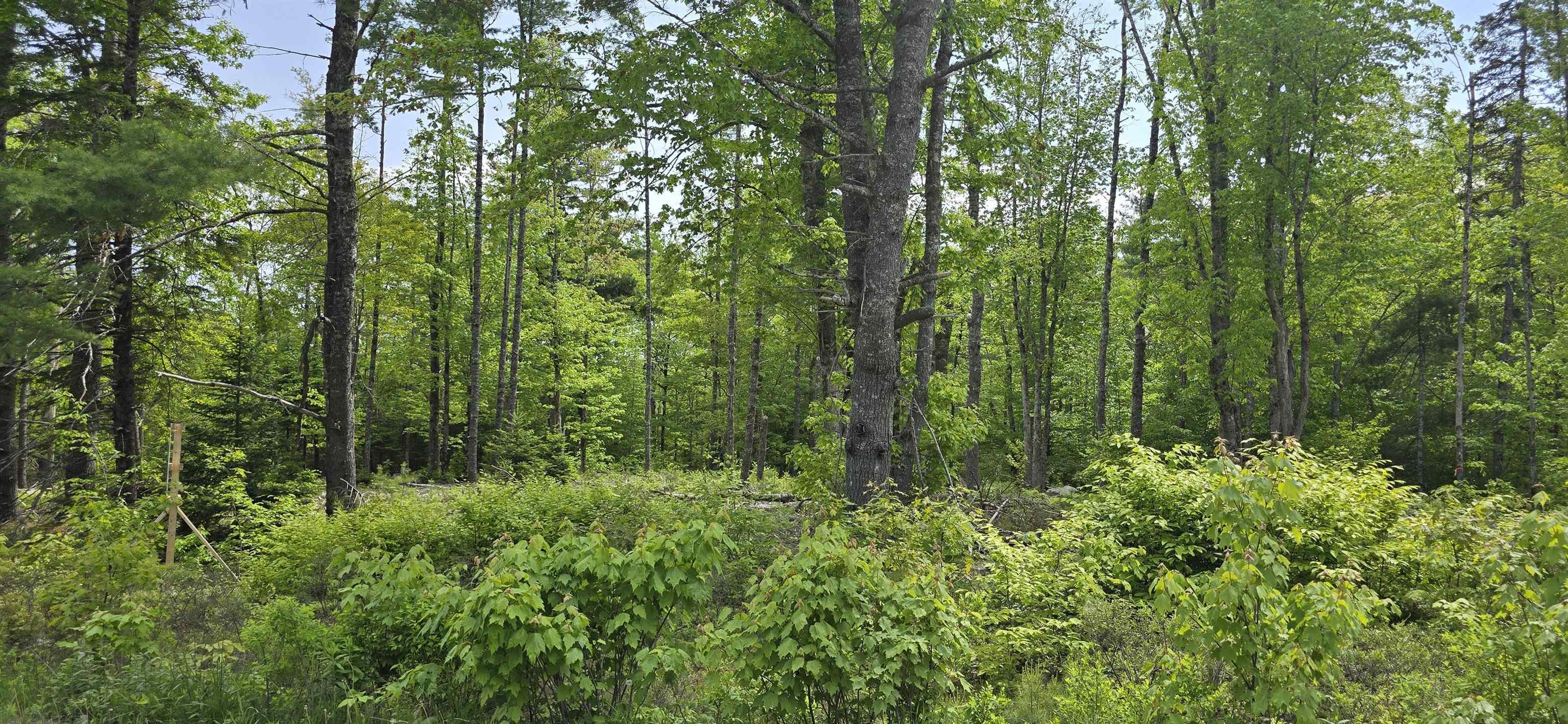 $31,900.00: Lot 24-6 East Clifford Road, East Clifford