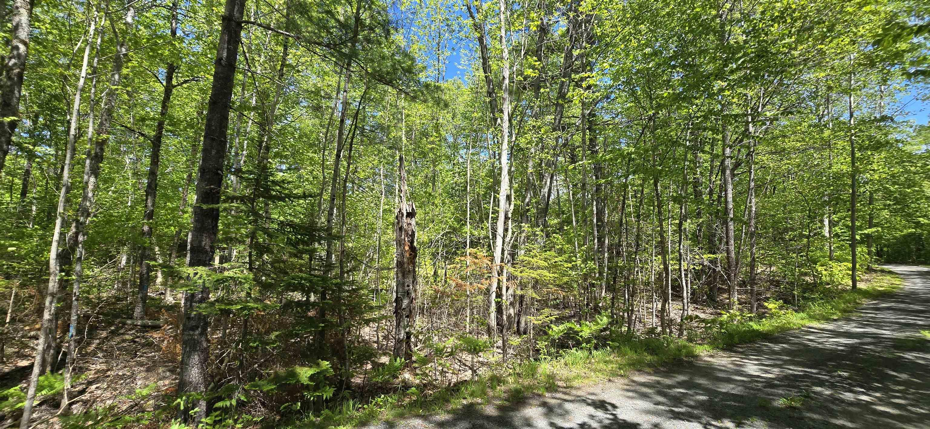 $31,900.00: Lot 24-6 East Clifford Road, East Clifford