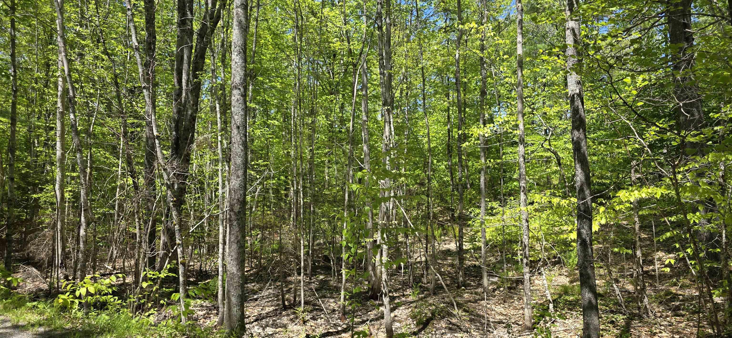 $31,900.00: Lot 24-6 East Clifford Road, East Clifford