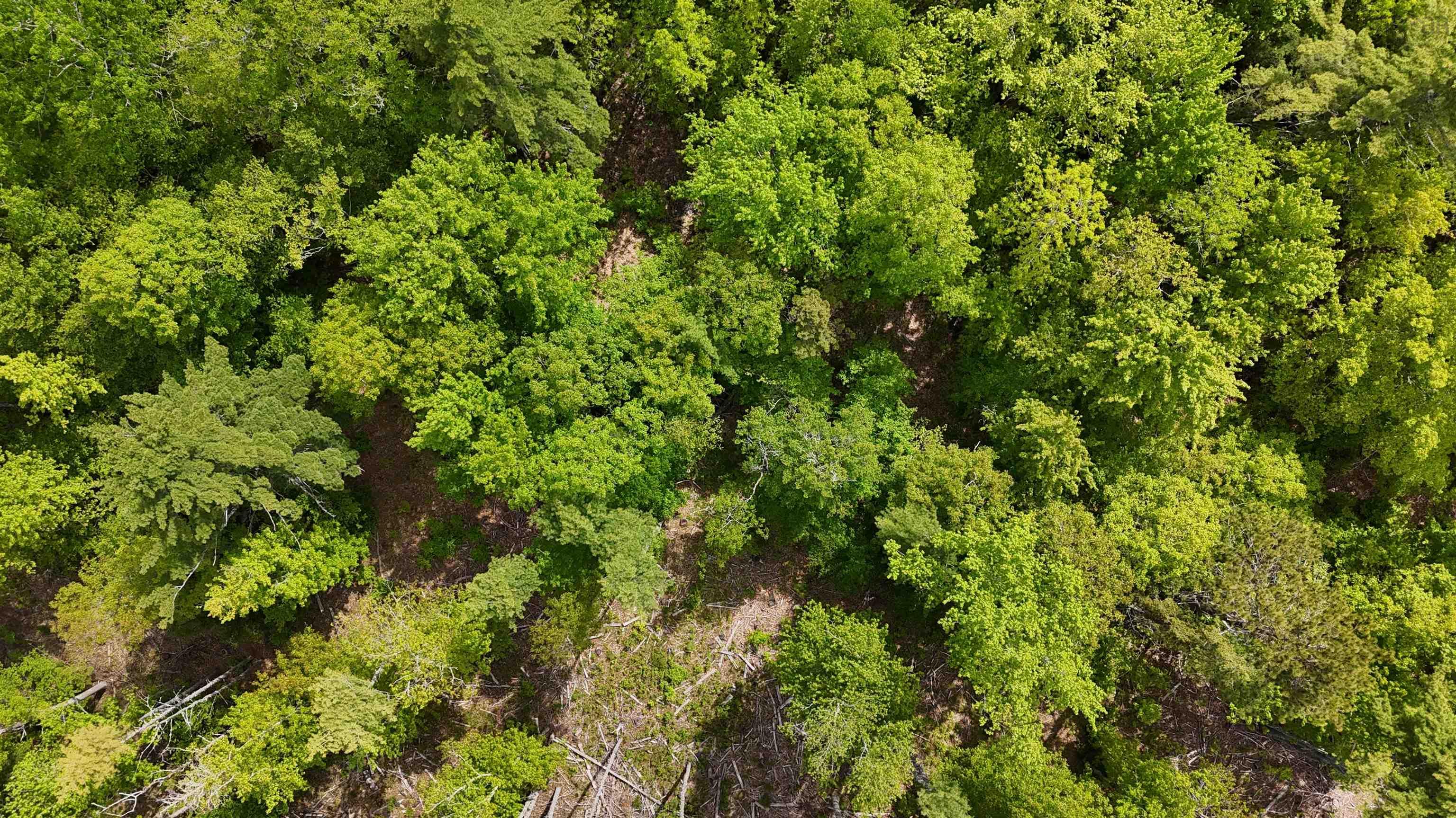 $31,900.00: Lot 24-6 East Clifford Road, East Clifford