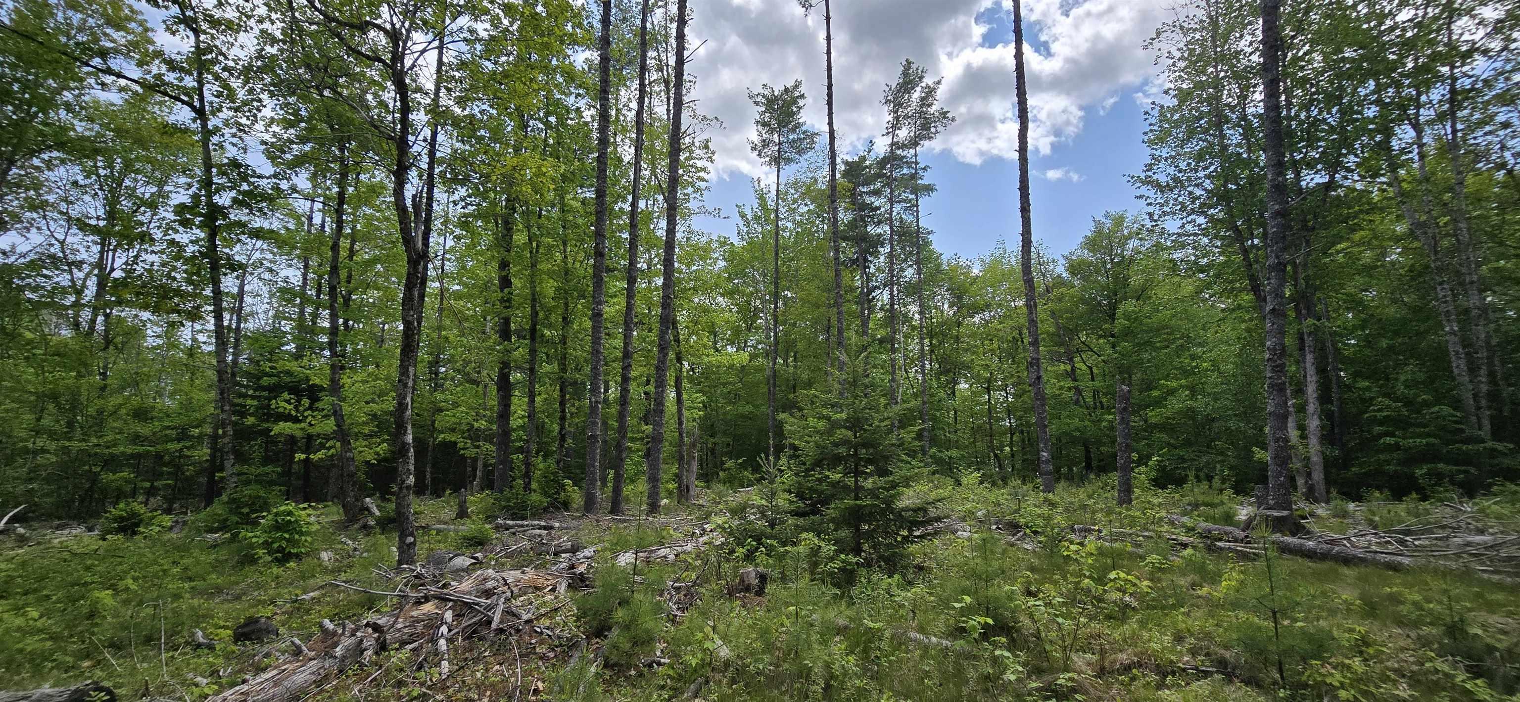 $31,900.00: Lot 24-6 East Clifford Road, East Clifford