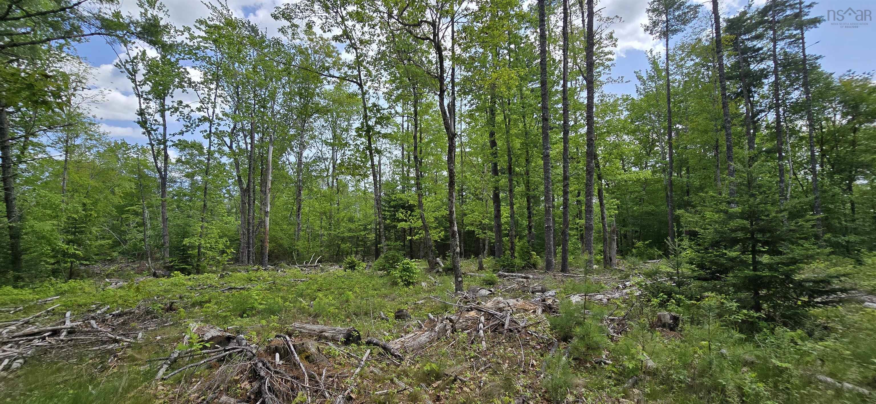 $31,900.00: Lot 24-6 East Clifford Road, East Clifford