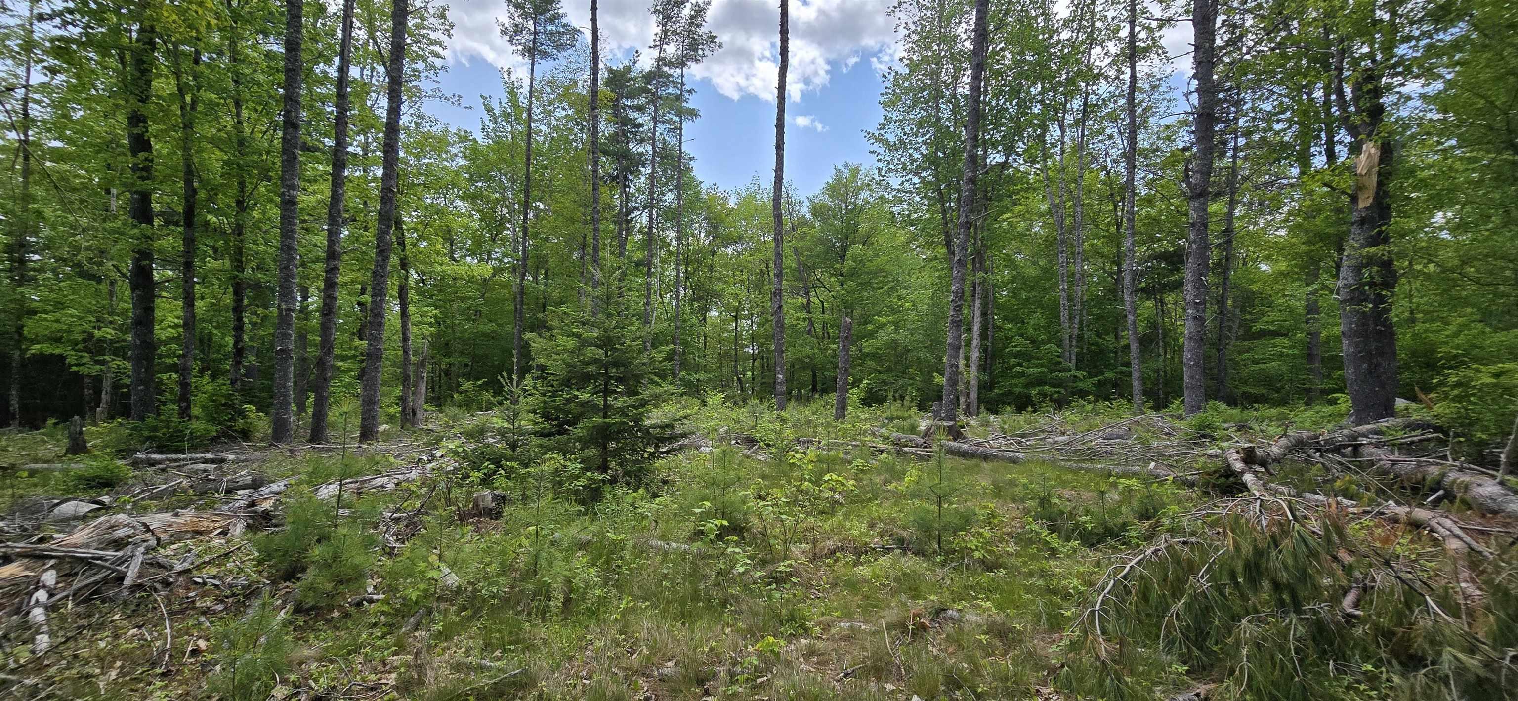 $31,900.00: Lot 24-6 East Clifford Road, East Clifford