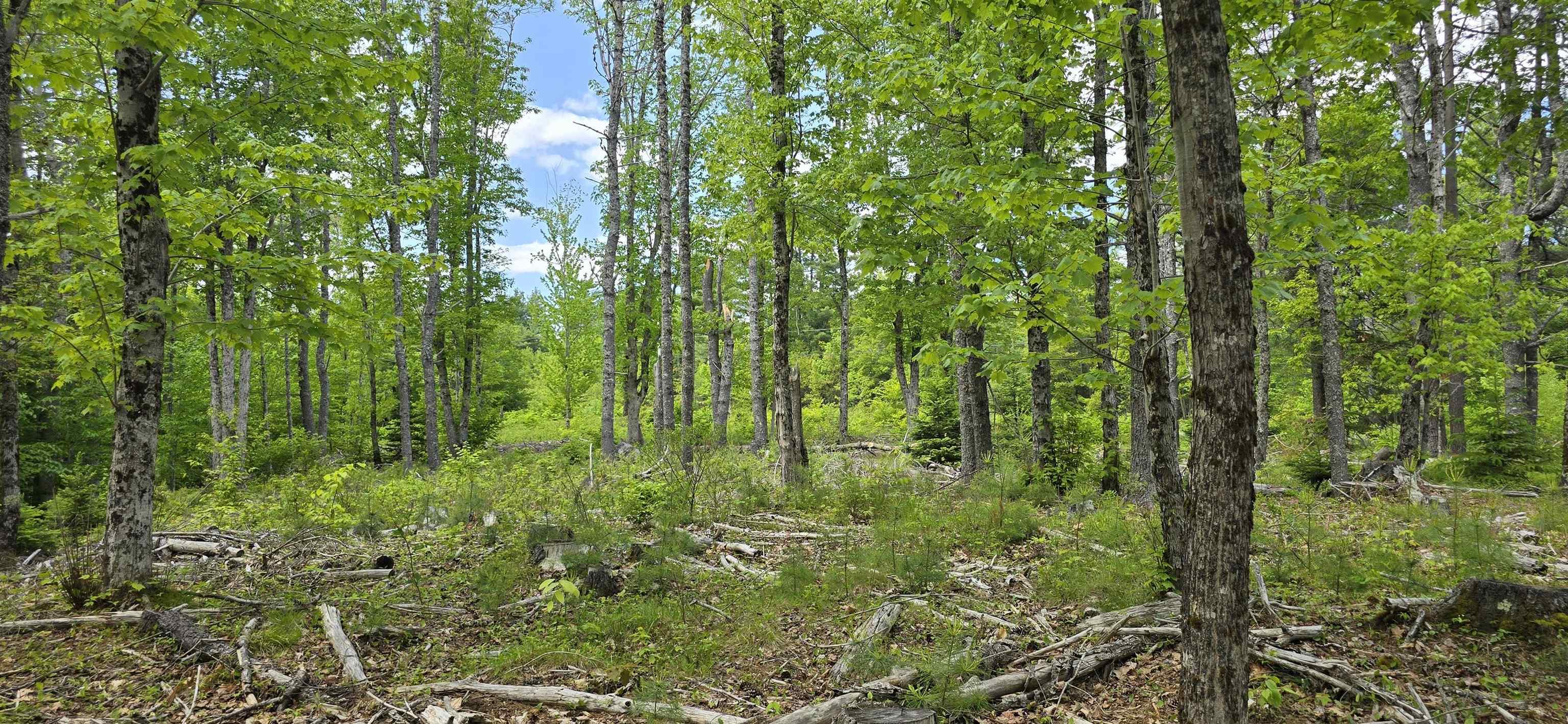 $31,900.00: Lot 24-6 East Clifford Road, East Clifford