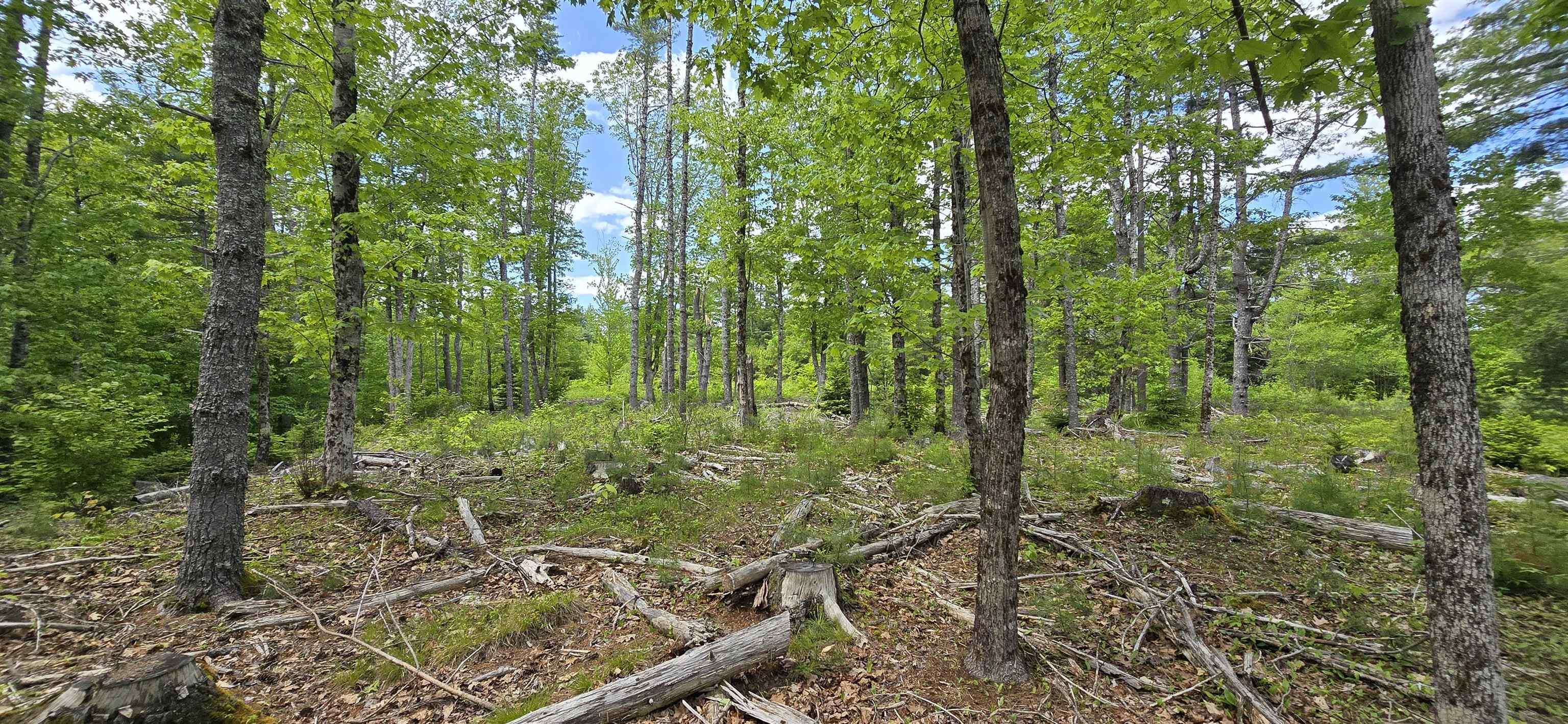 $31,900.00: Lot 24-6 East Clifford Road, East Clifford