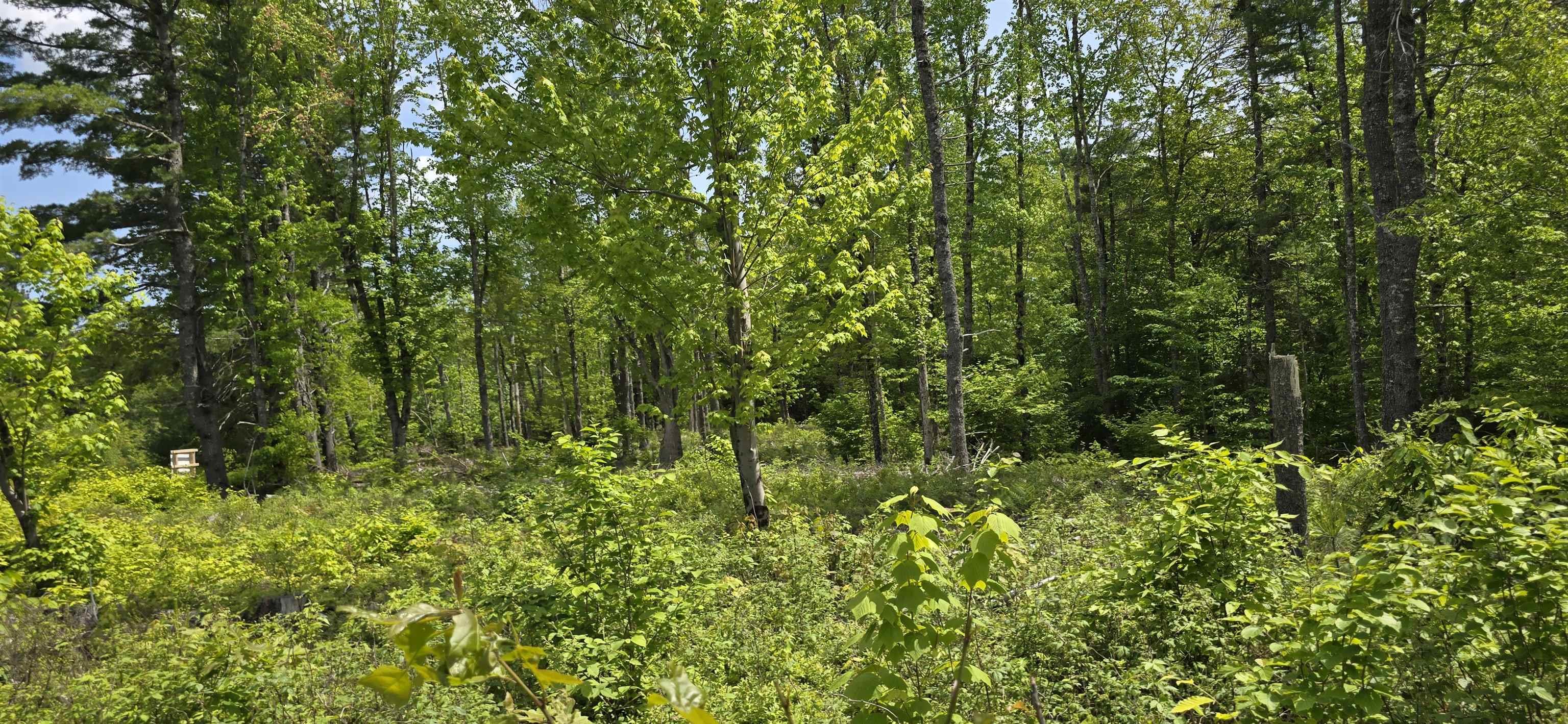 $32,900.00: Lot 24-5 East Clifford Road, East Clifford
