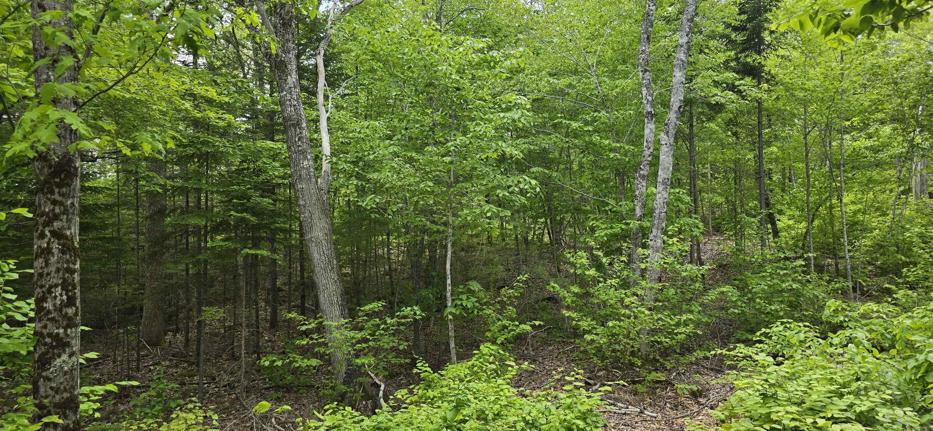 $32,900.00: Lot 24-5 East Clifford Road, East Clifford