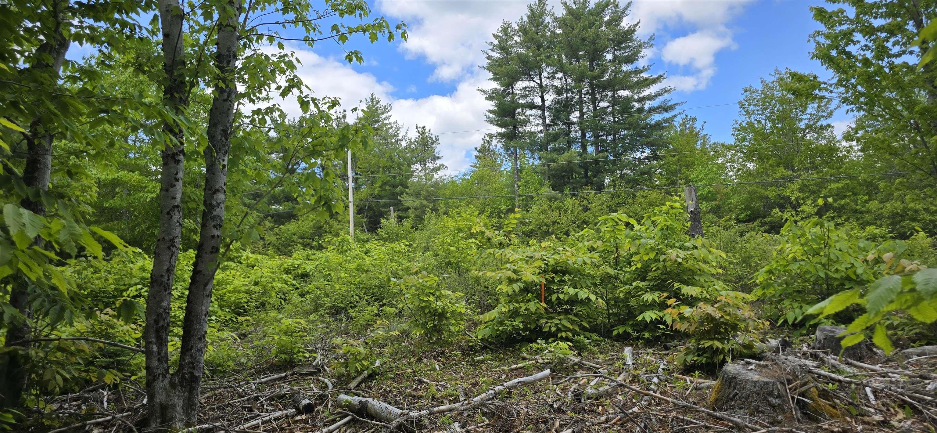 $32,900.00: Lot 24-5 East Clifford Road, East Clifford