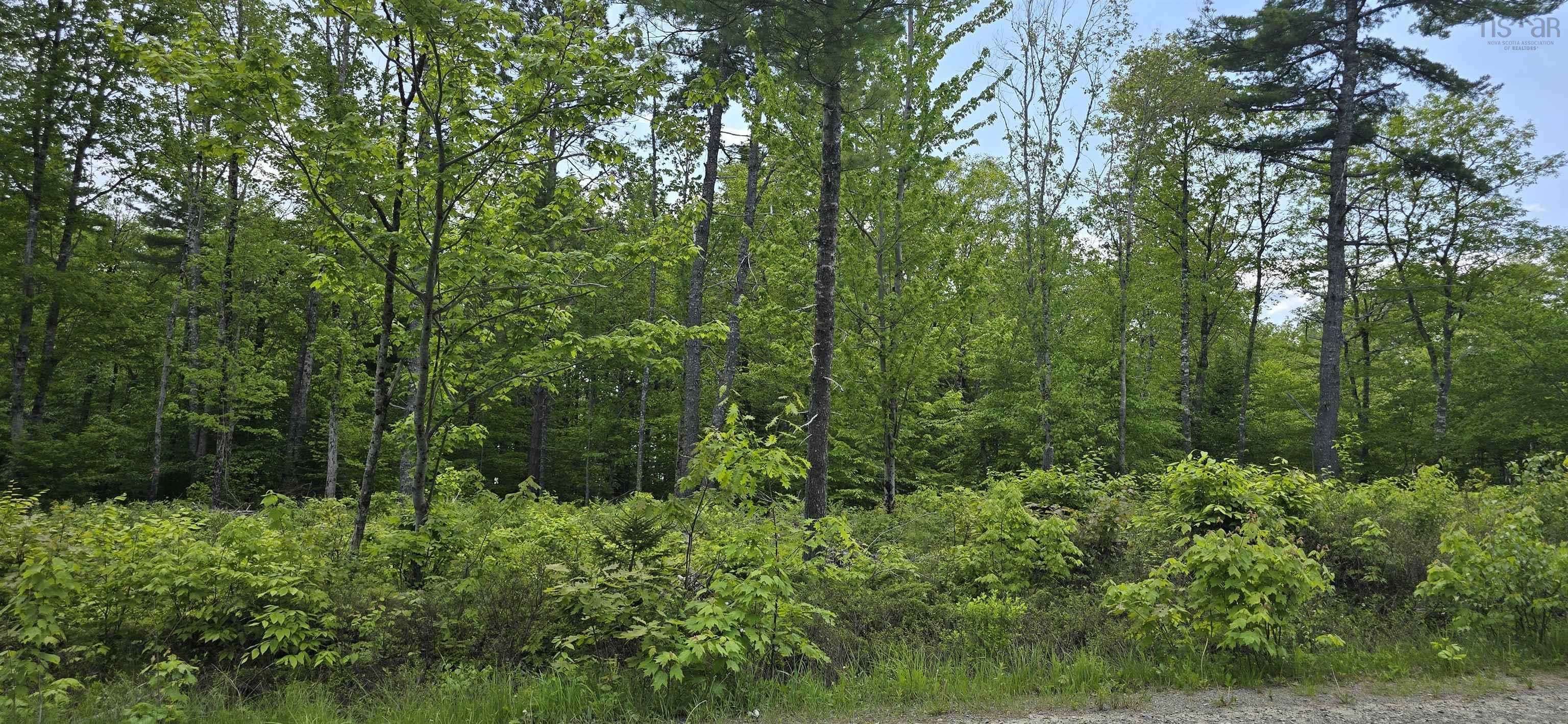 $32,900.00: Lot 24-5 East Clifford Road, East Clifford