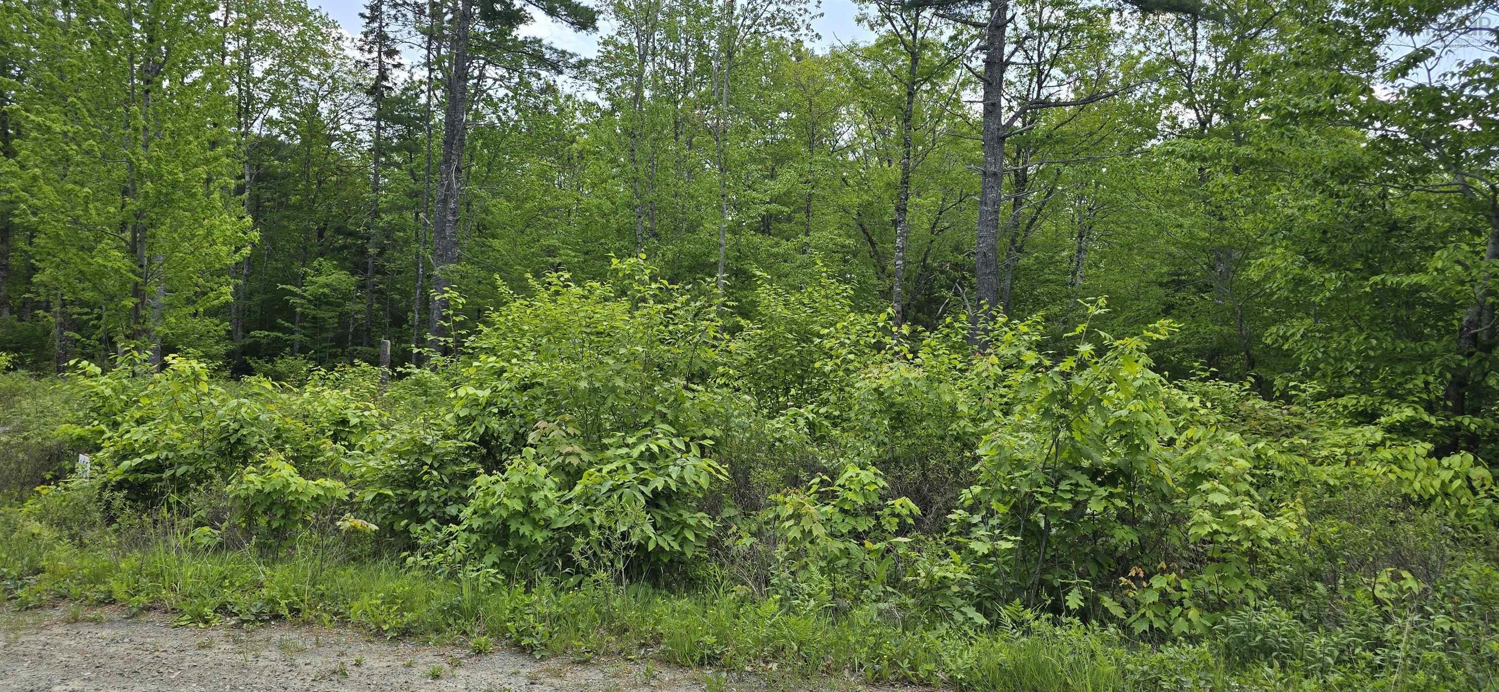 $32,900.00: Lot 24-5 East Clifford Road, East Clifford