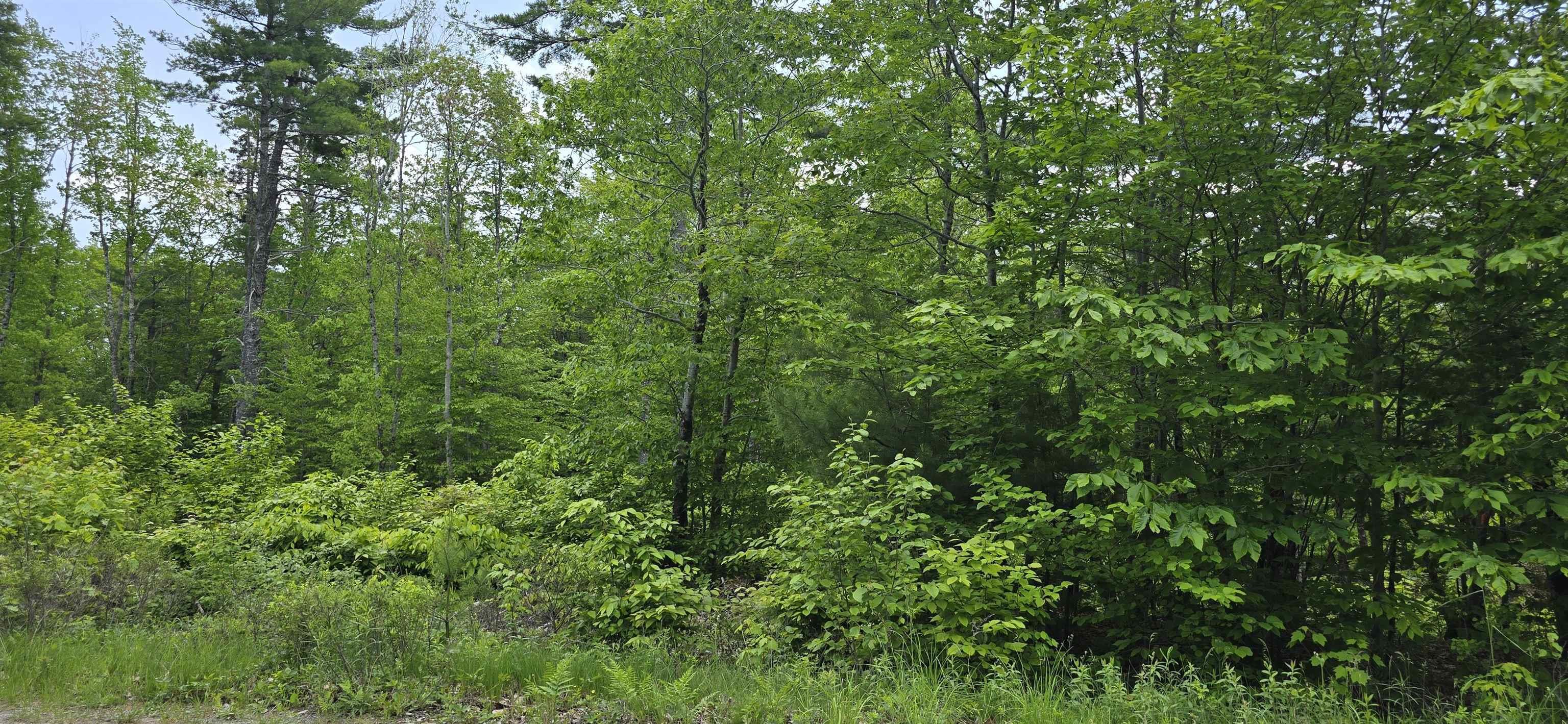 $32,900.00: Lot 24-5 East Clifford Road, East Clifford