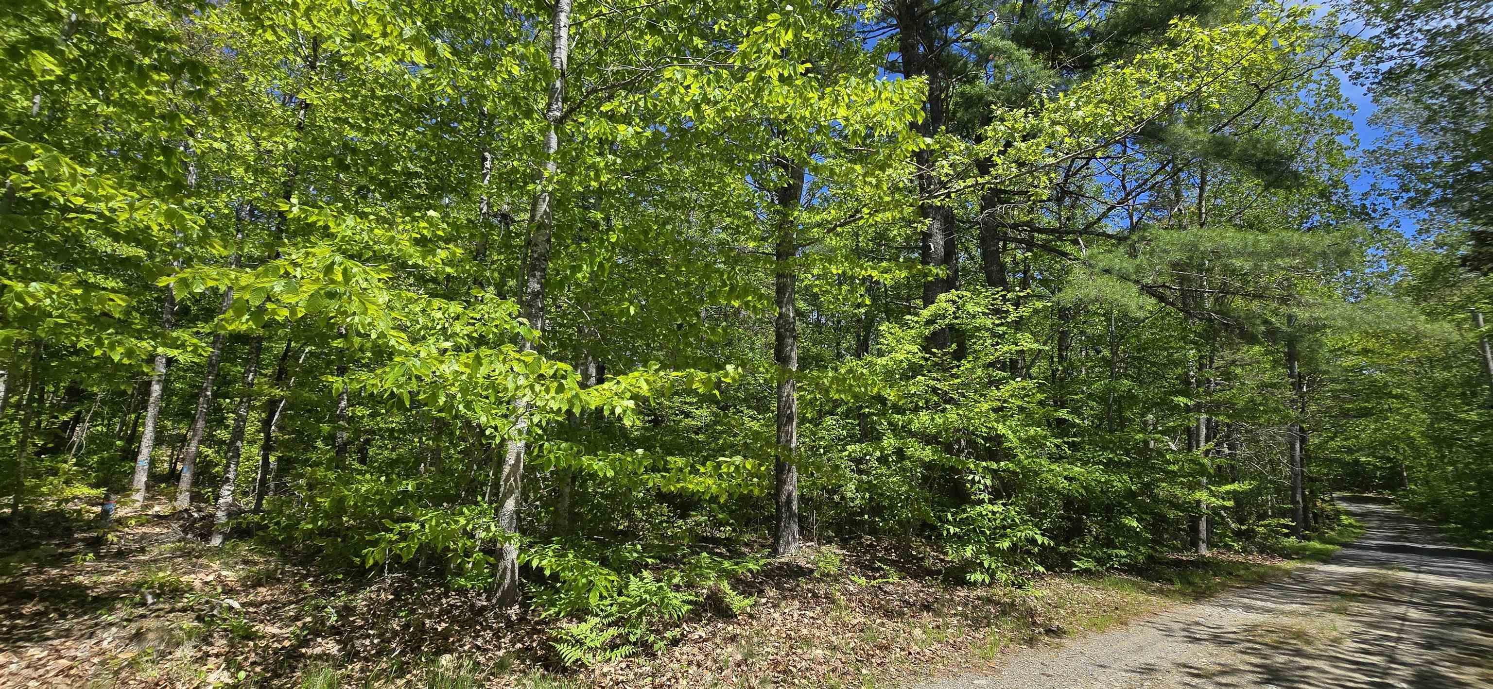 $32,900.00: Lot 24-5 East Clifford Road, East Clifford