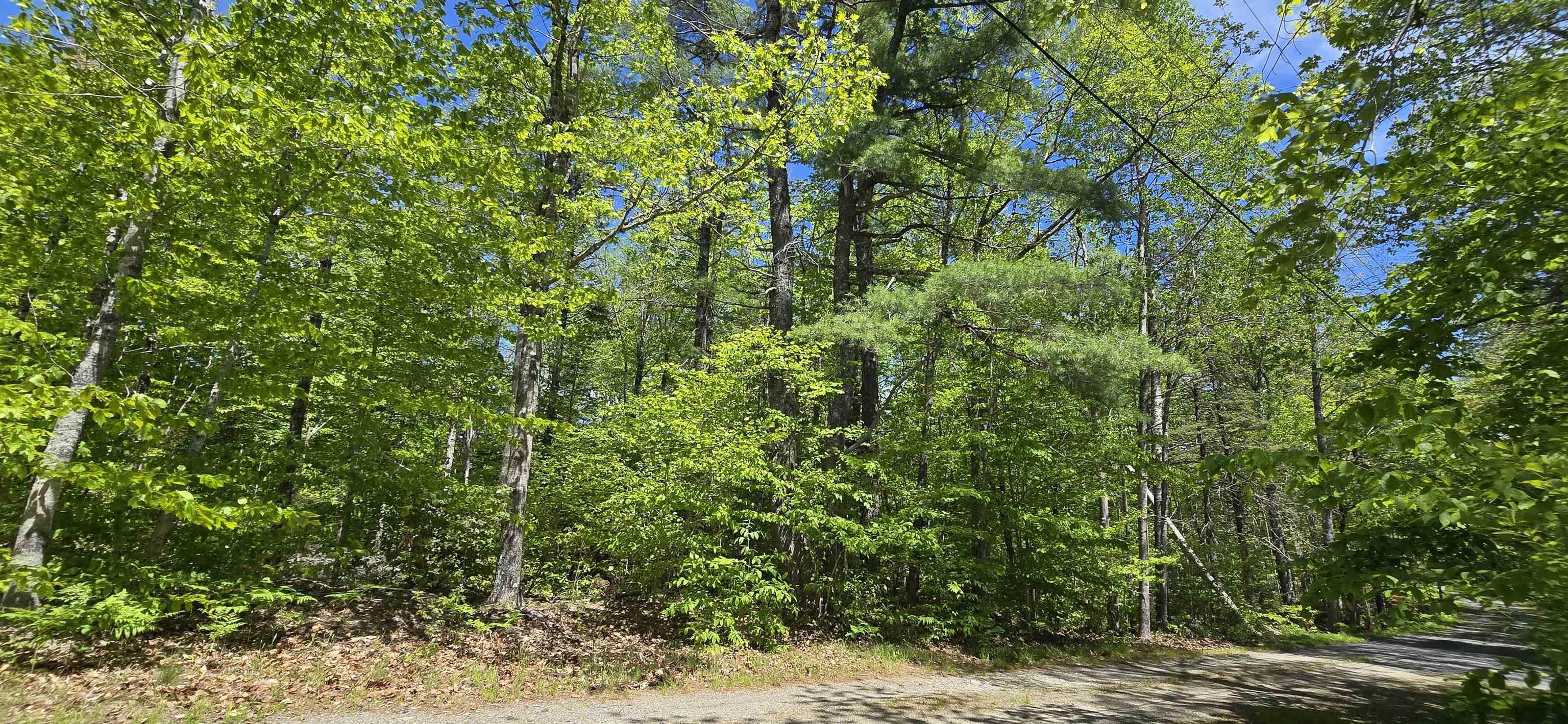 $32,900.00: Lot 24-5 East Clifford Road, East Clifford