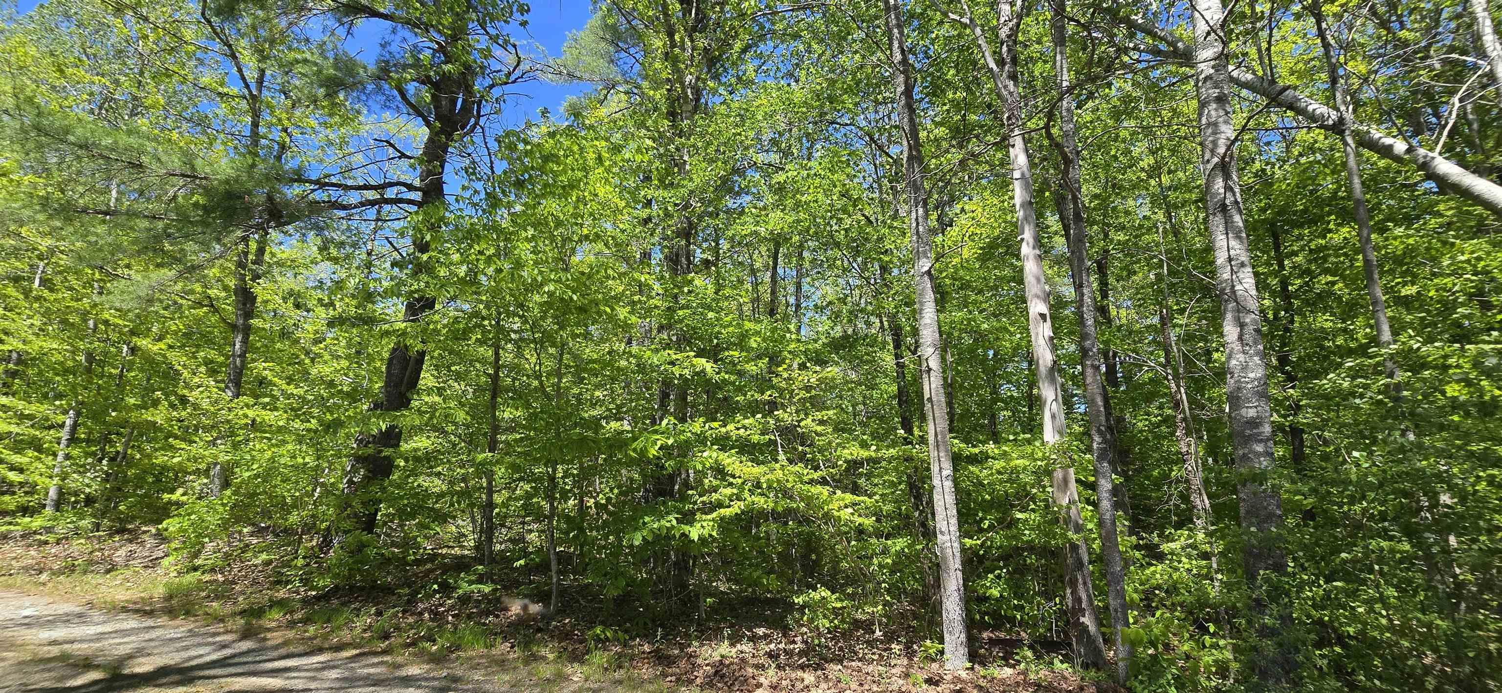 $32,900.00: Lot 24-5 East Clifford Road, East Clifford
