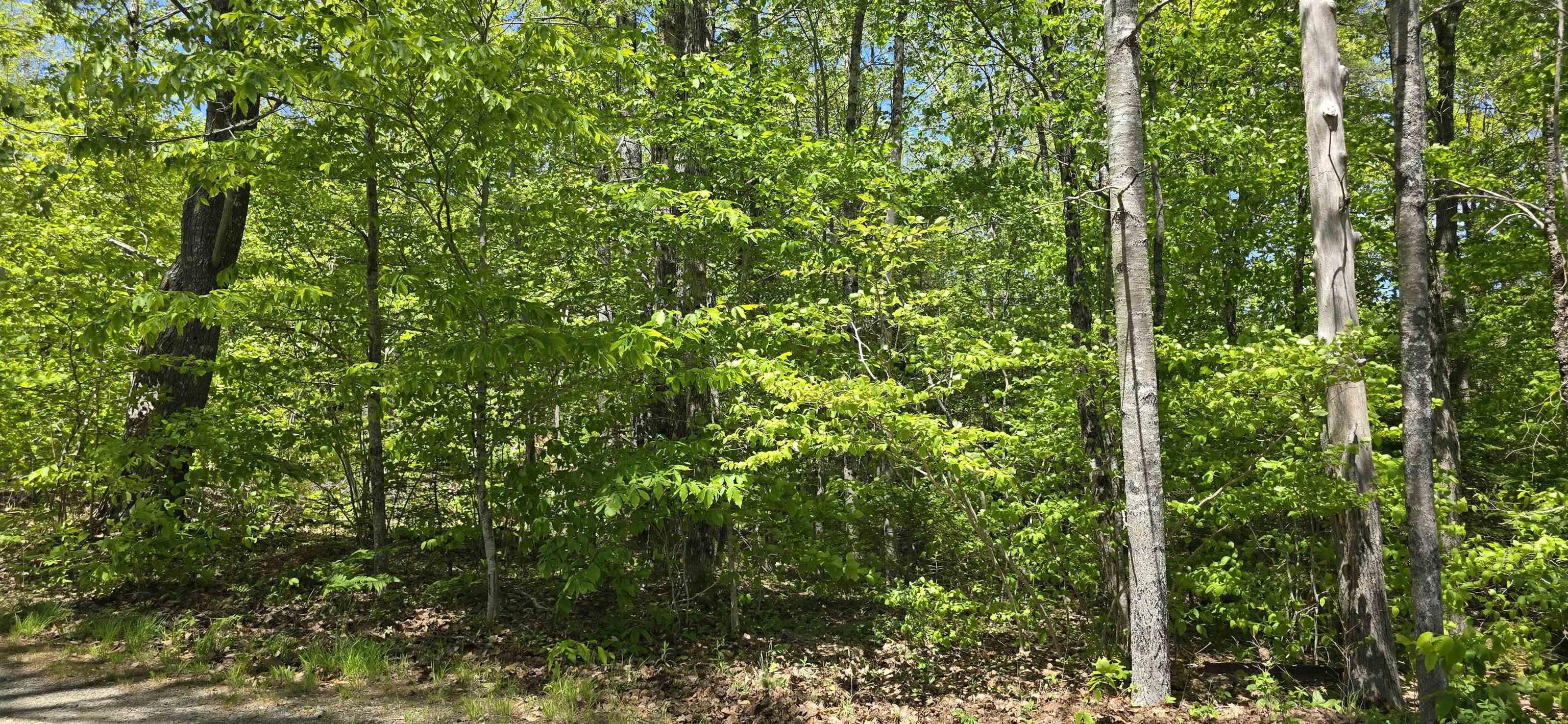 $32,900.00: Lot 24-5 East Clifford Road, East Clifford