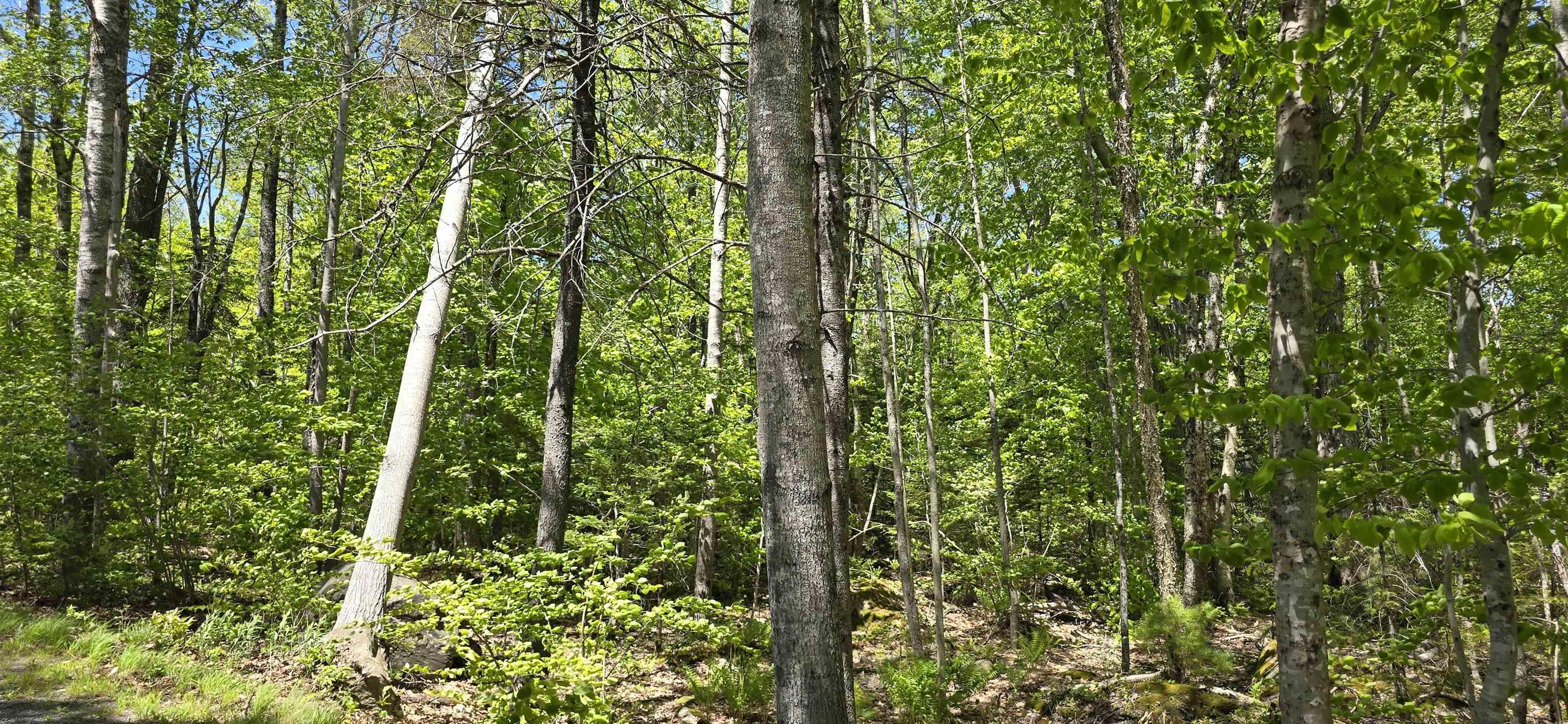 $32,900.00: Lot 24-5 East Clifford Road, East Clifford