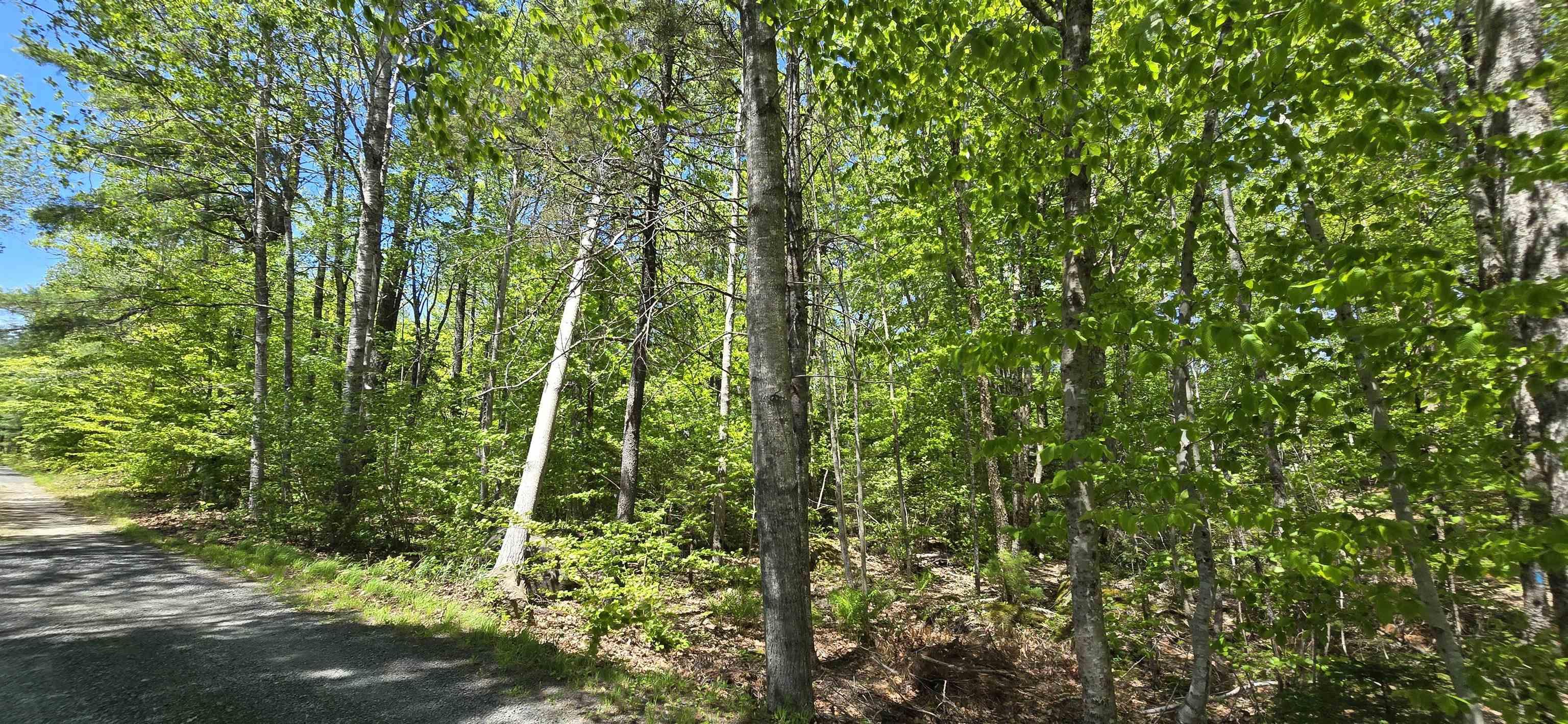 $32,900.00: Lot 24-5 East Clifford Road, East Clifford