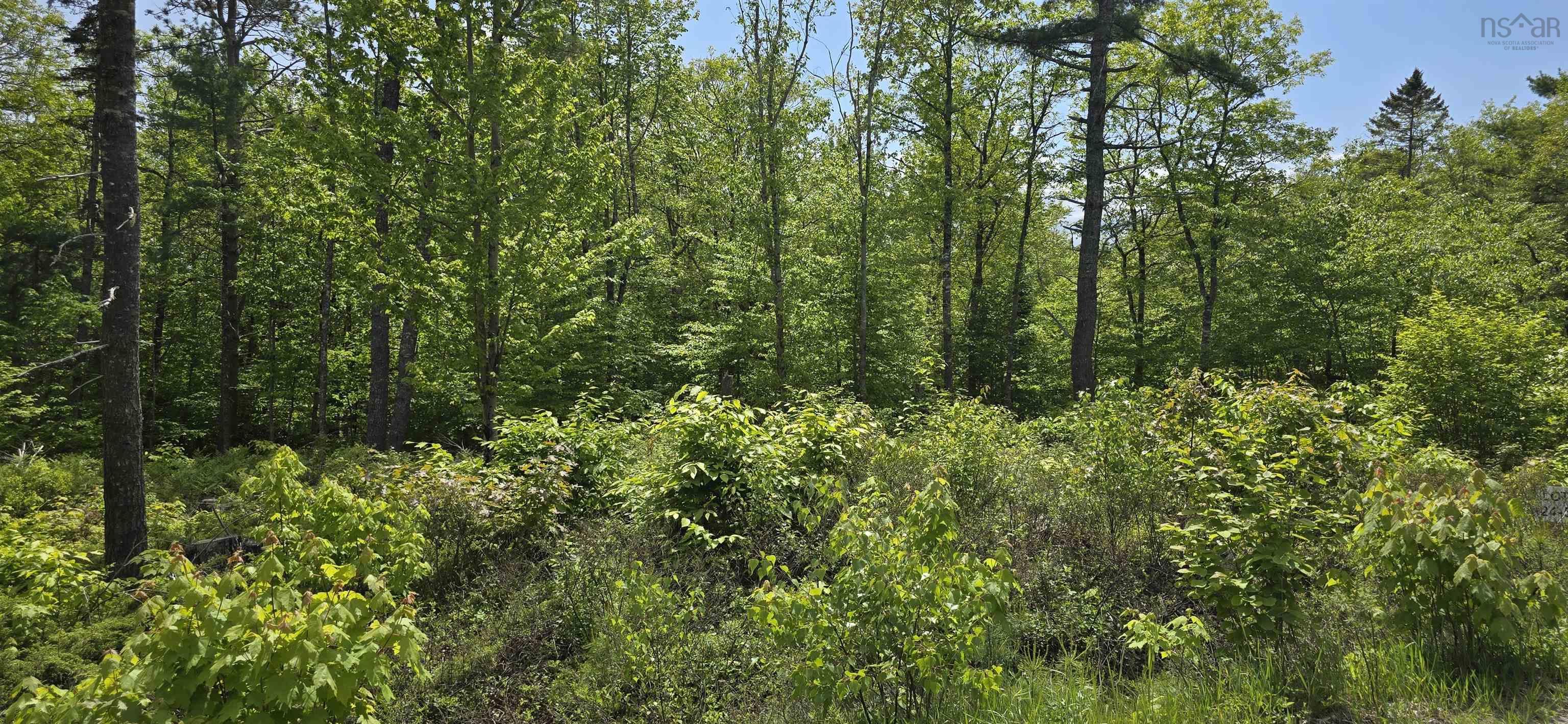 $32,900.00: Lot 24-5 East Clifford Road, East Clifford