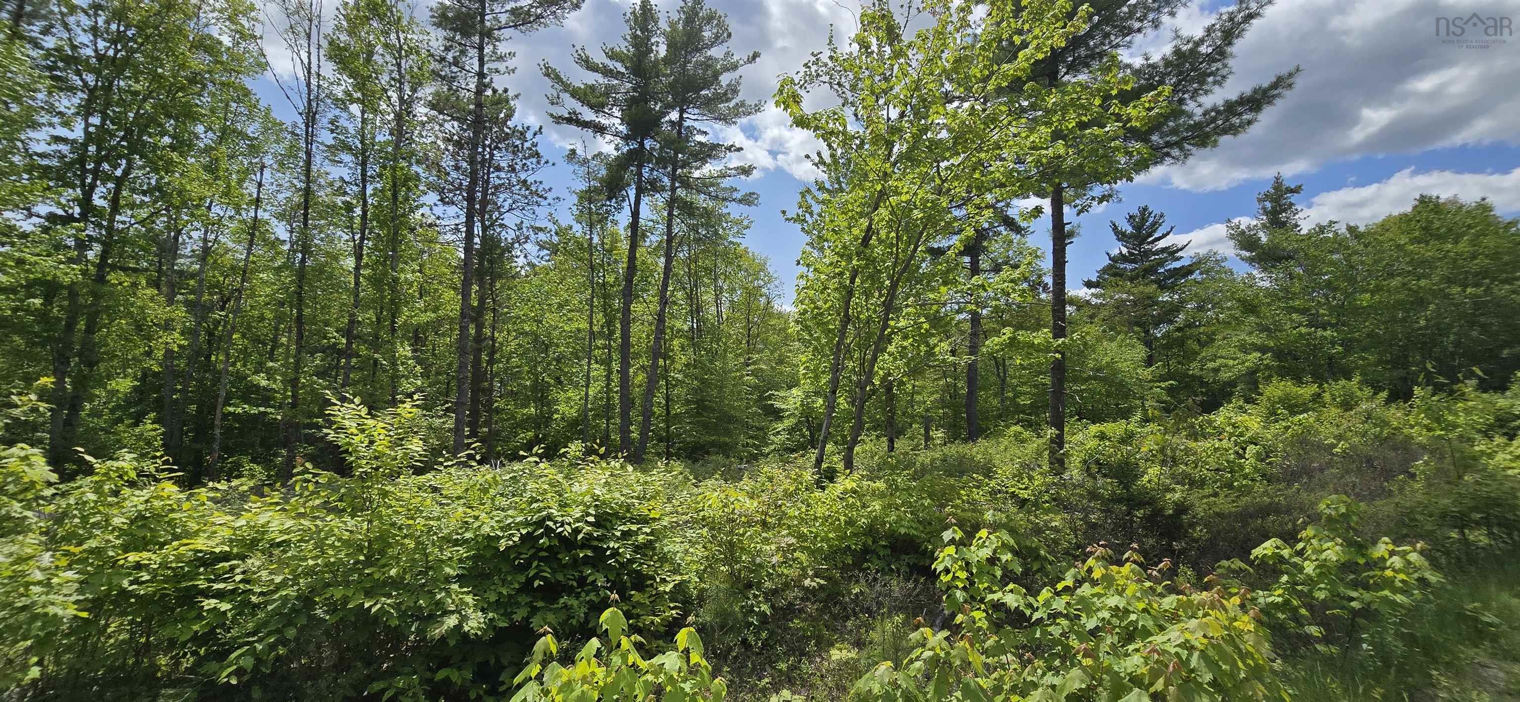 $32,900.00: Lot 24-5 East Clifford Road, East Clifford