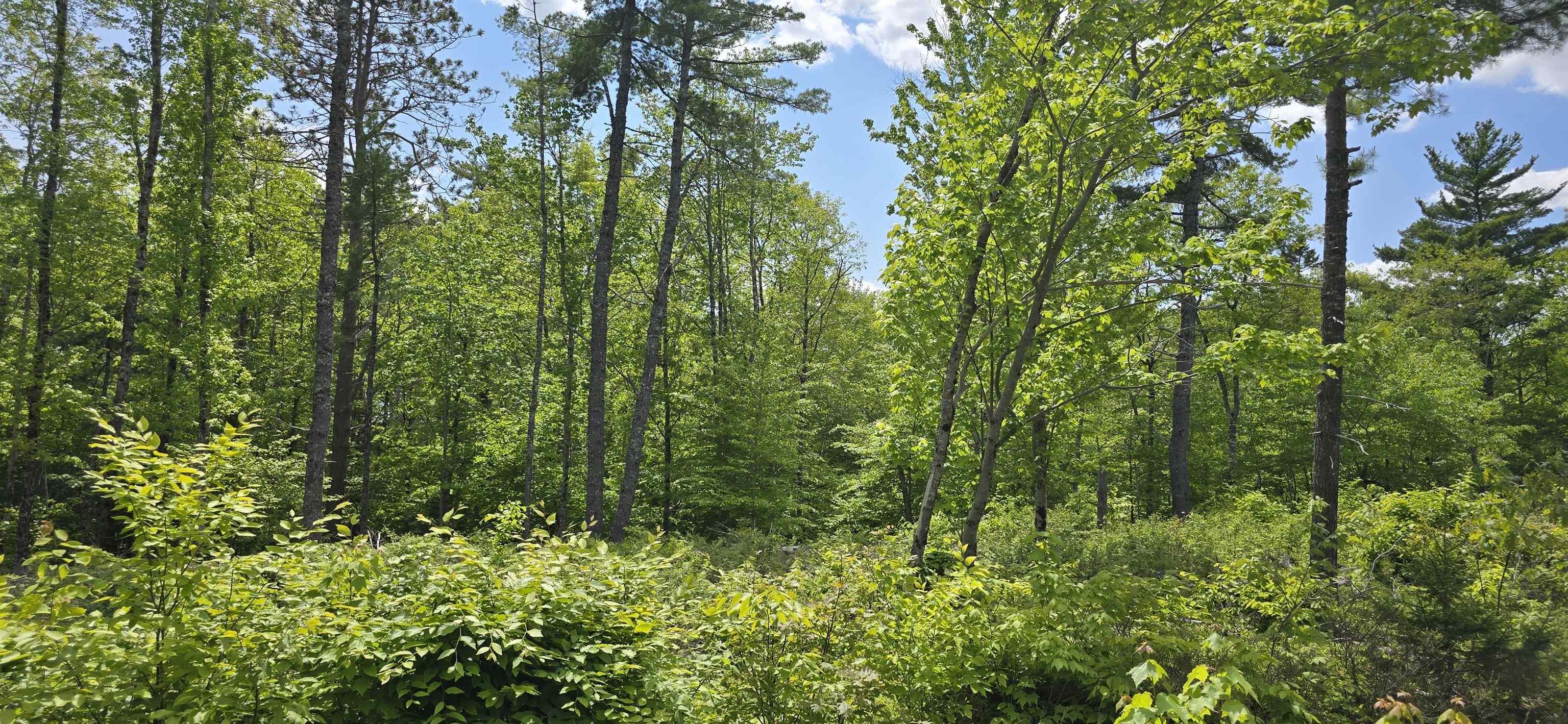 $32,900.00: Lot 24-5 East Clifford Road, East Clifford