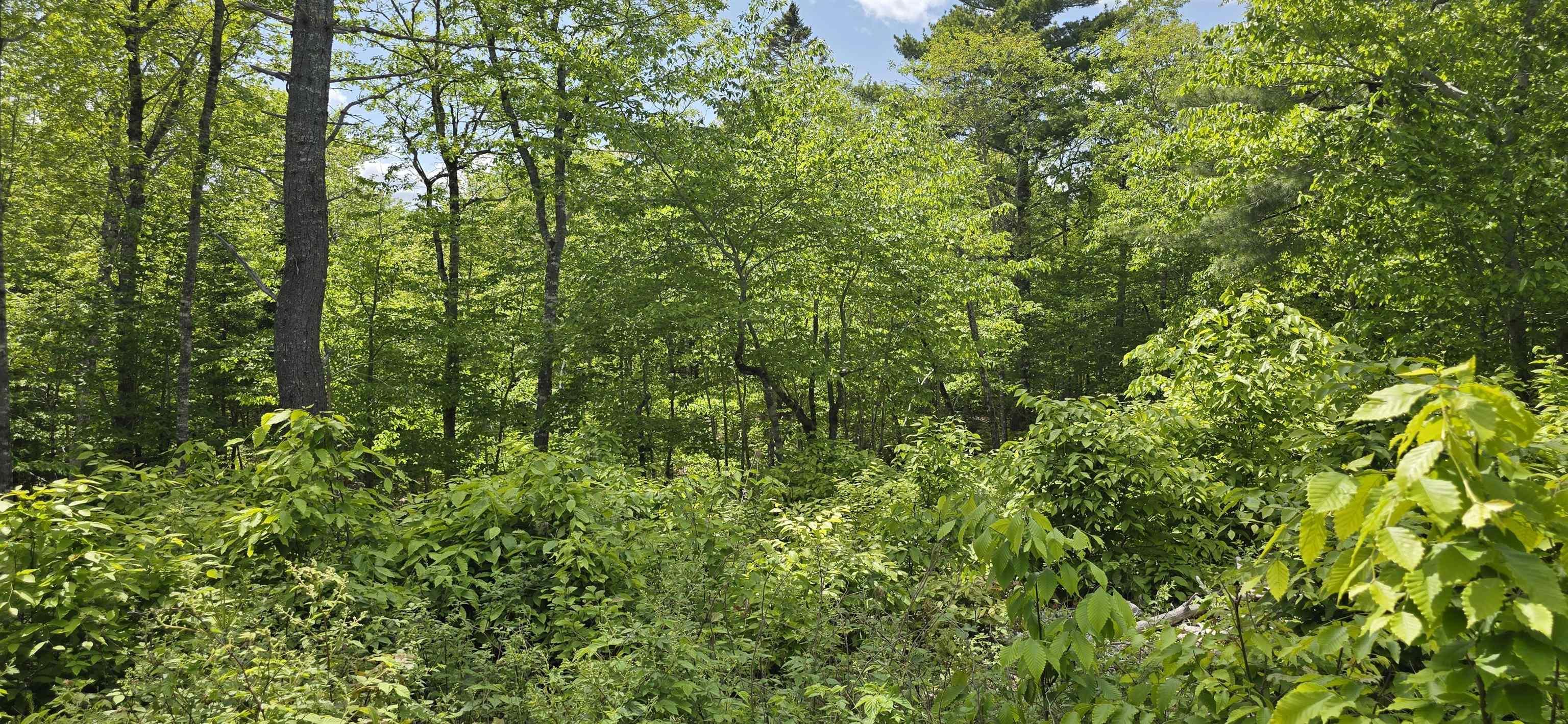 $32,900.00: Lot 24-5 East Clifford Road, East Clifford