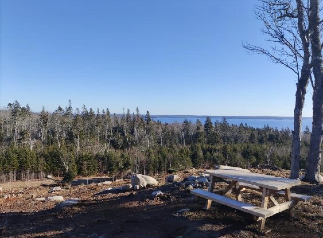 Lot No 3 Highway, Queensland, NS (MLS 202514141)