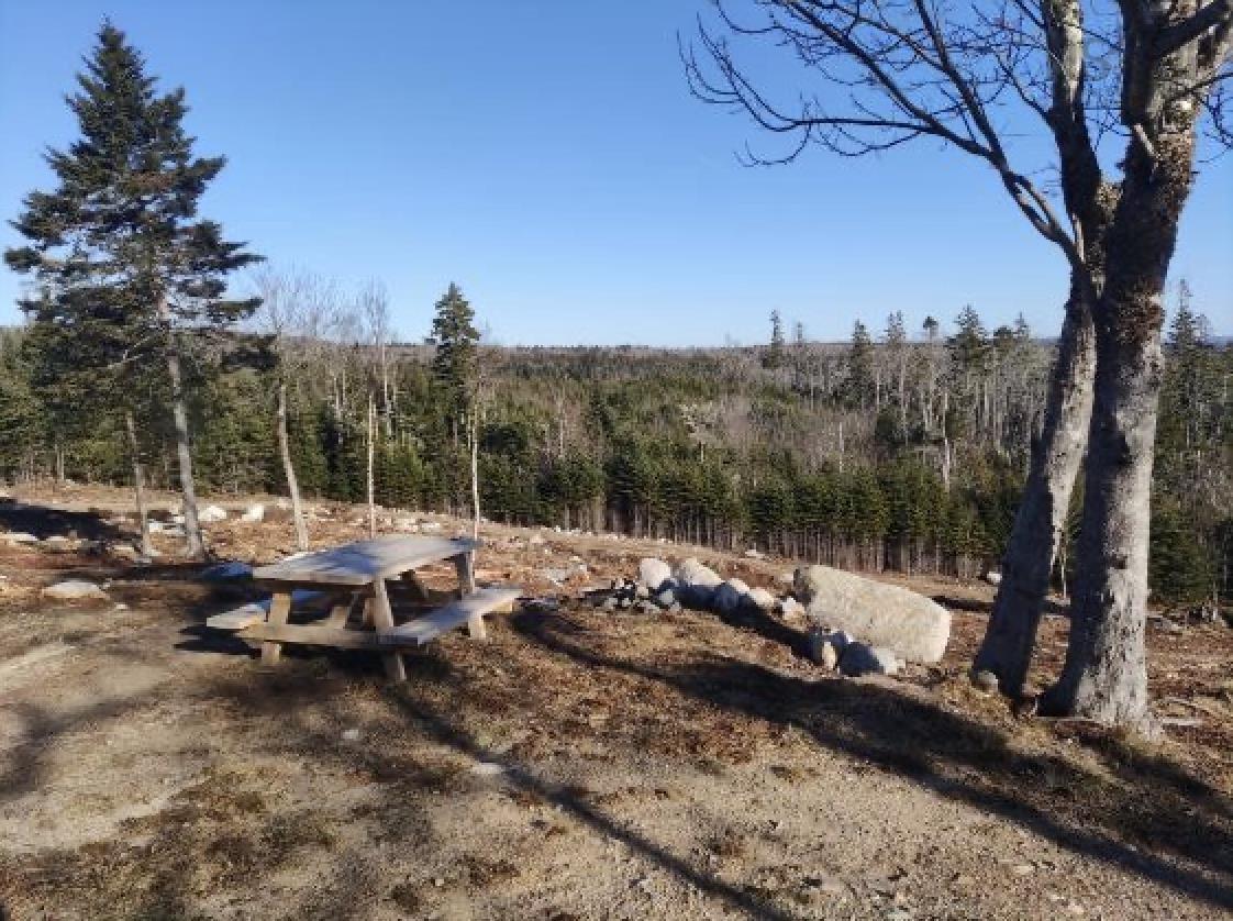 Lot No 3 Highway, Queensland, NS (MLS 202514141)