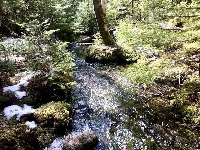 $259,000.00: 2925 Highway 203, East Kemptville