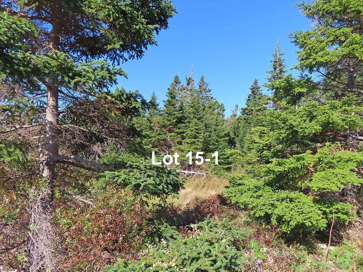 $110,000.00: Lots 15&15-1 Hwy 316 (English Hbr), Cole Harbour