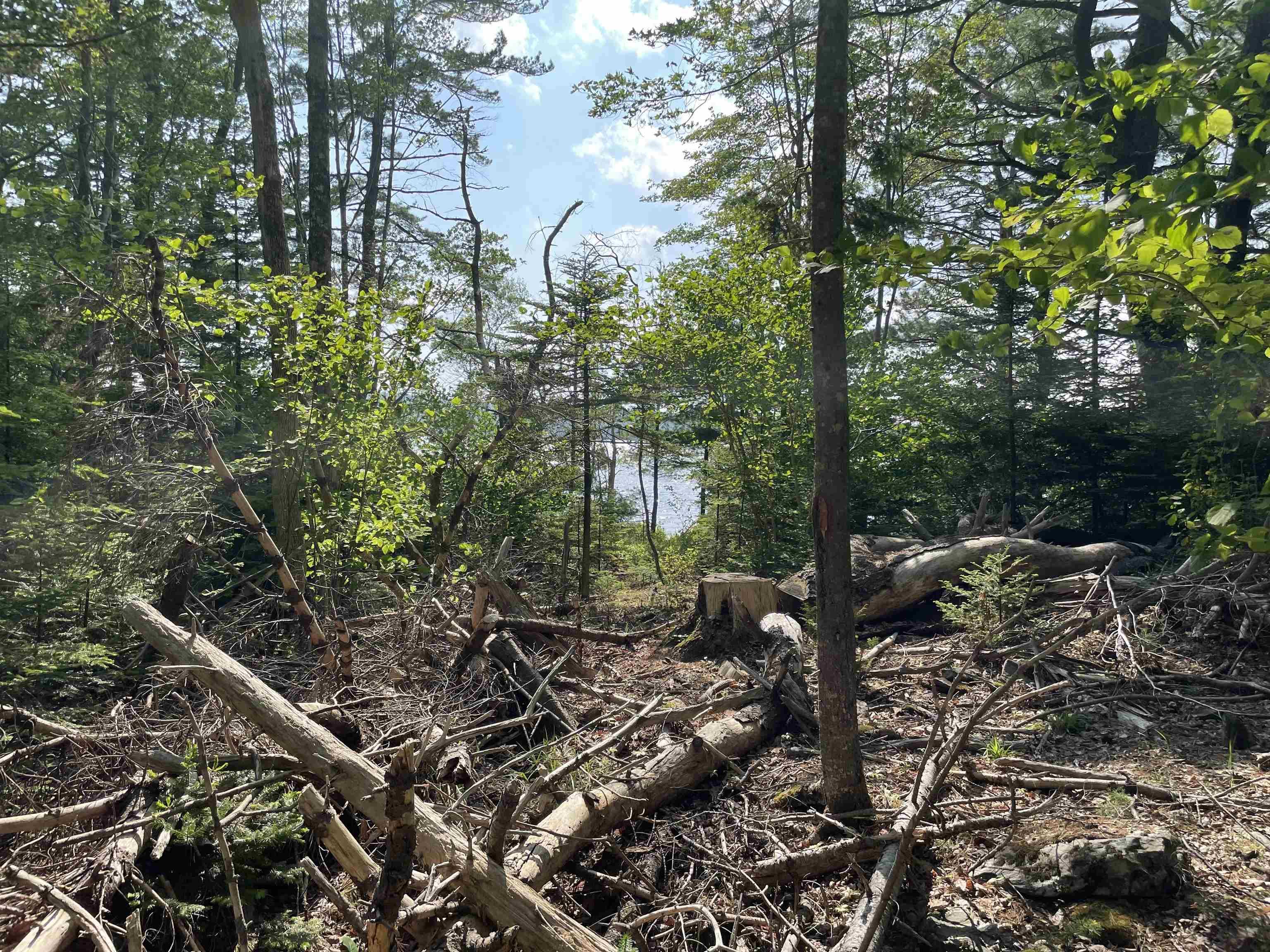 $130,000.00: Lot 108 East Clifford Road, East Clifford