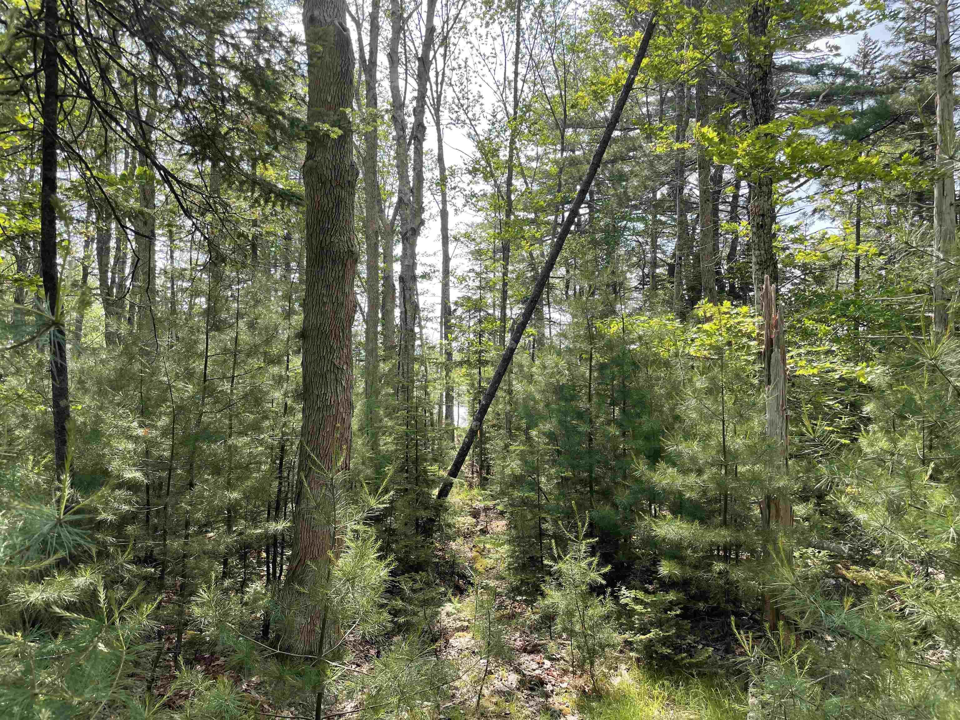 $130,000.00: Lot 108 East Clifford Road, East Clifford