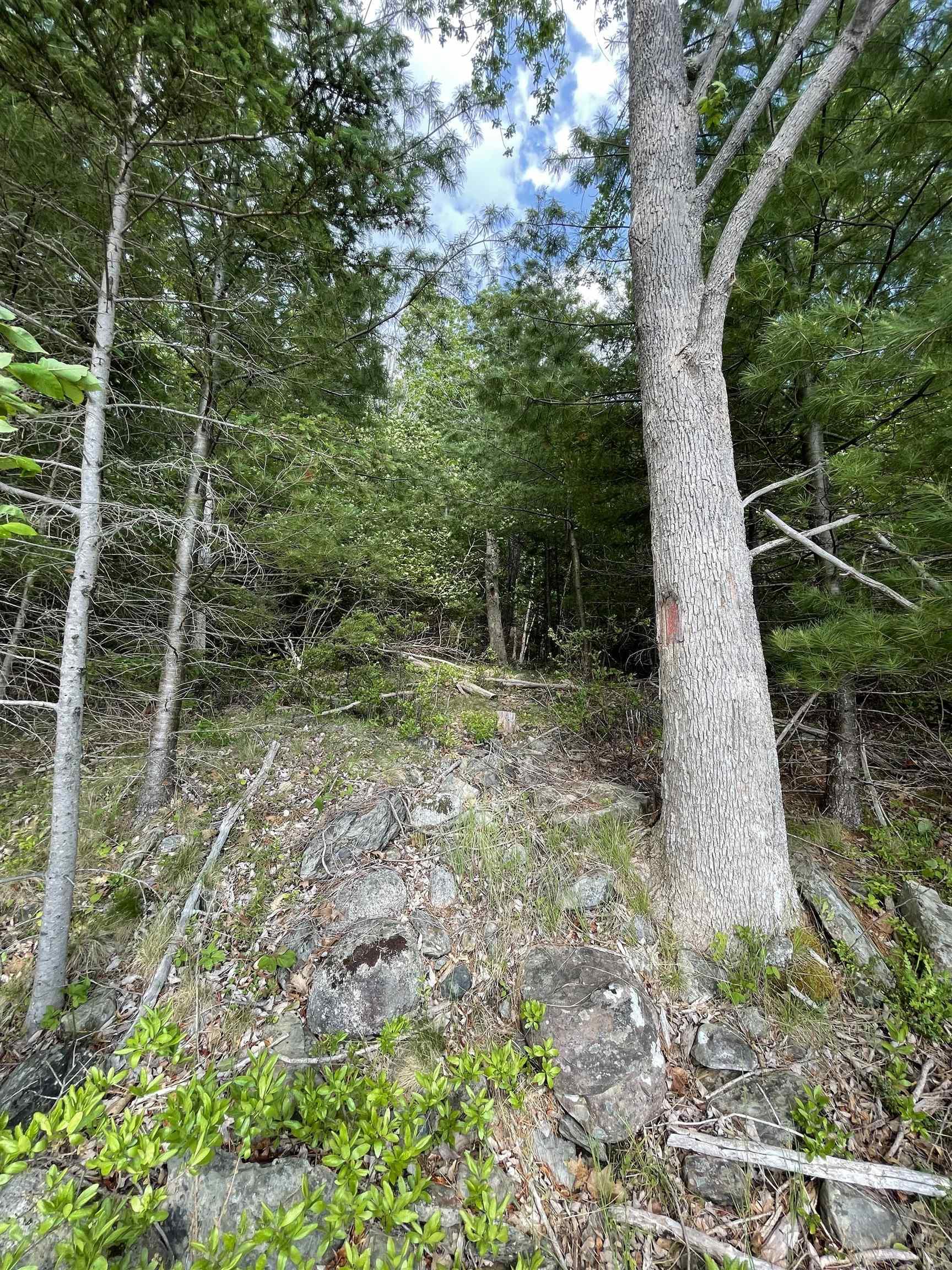 $130,000.00: Lot 108 East Clifford Road, East Clifford