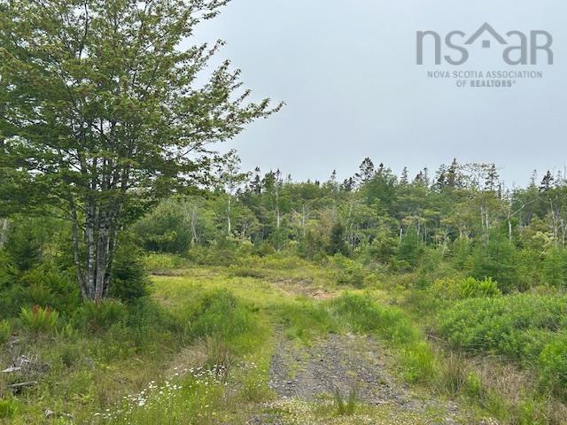 $39,000.00: Lot 7 Bay Street, French Cove