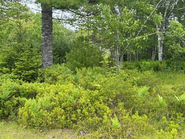 $39,000.00: Lot 7 Bay Street, French Cove