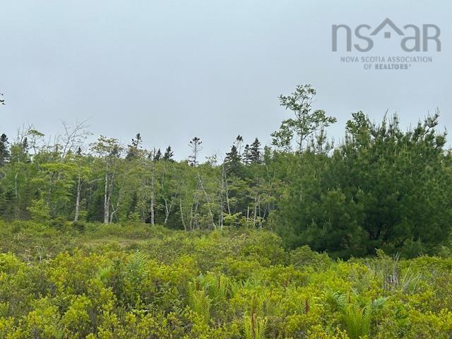 $39,000.00: Lot 7 Bay Street, French Cove