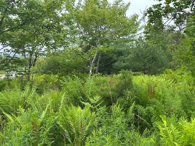 $39,000.00: Lot 7 Bay Street, French Cove