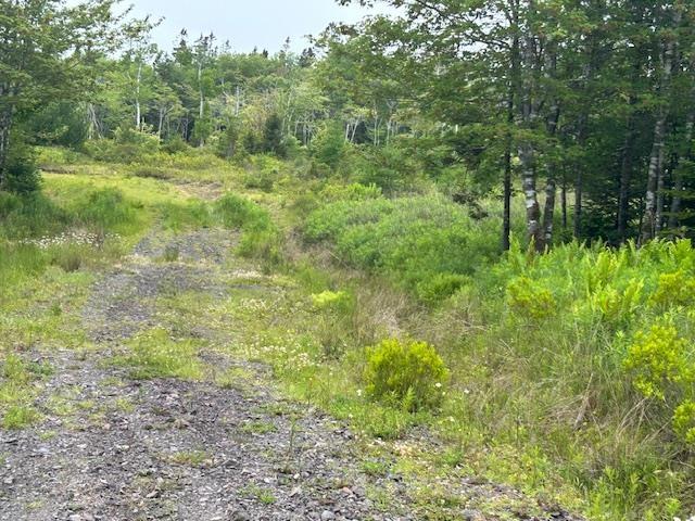 $39,000.00: Lot 7 Bay Street, French Cove