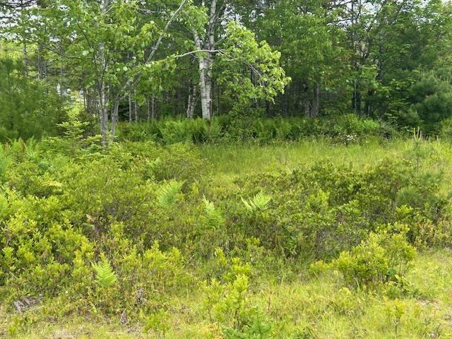 $39,000.00: Lot 7 Bay Street, French Cove