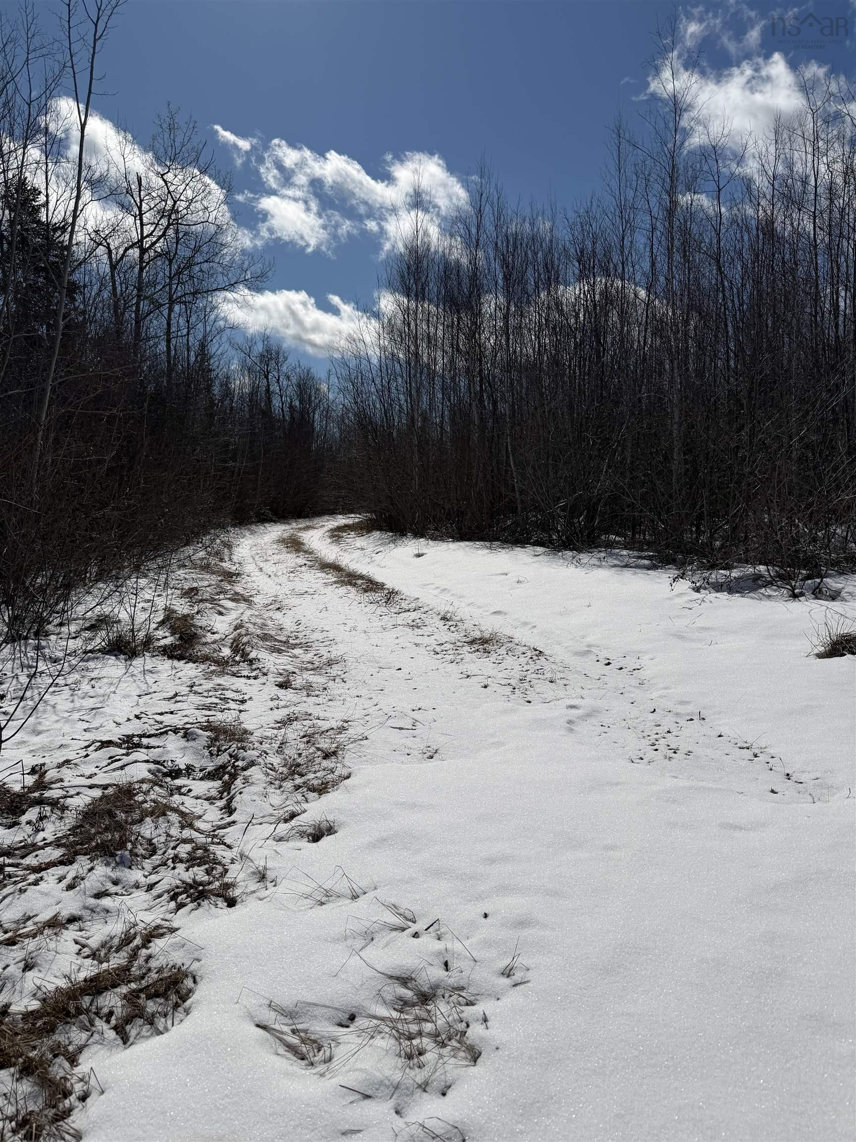 78 Acres Lake Road, French River, NS (MLS 202515331)