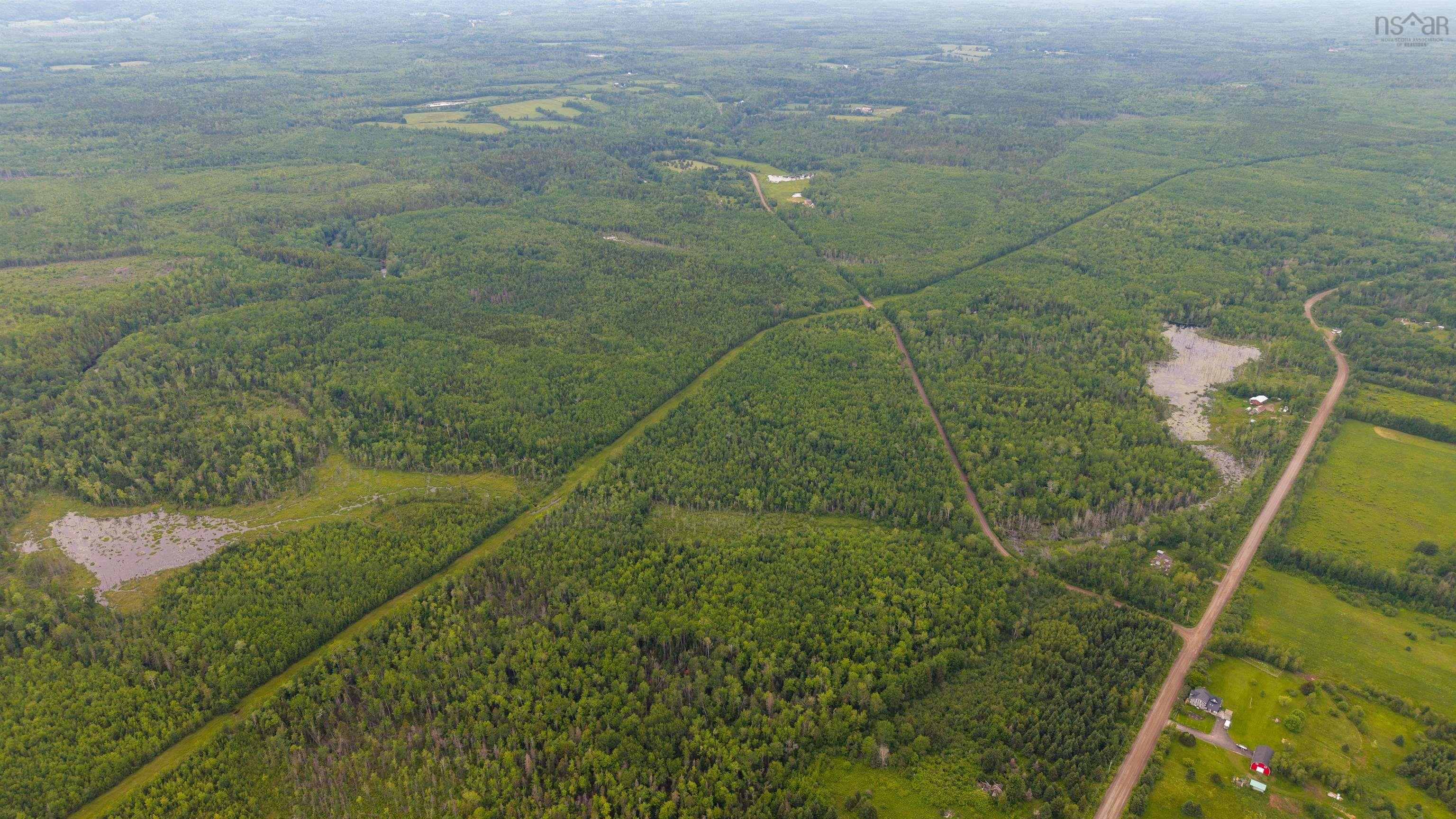 78 Acres Lake Road, French River, NS (MLS 202515331)