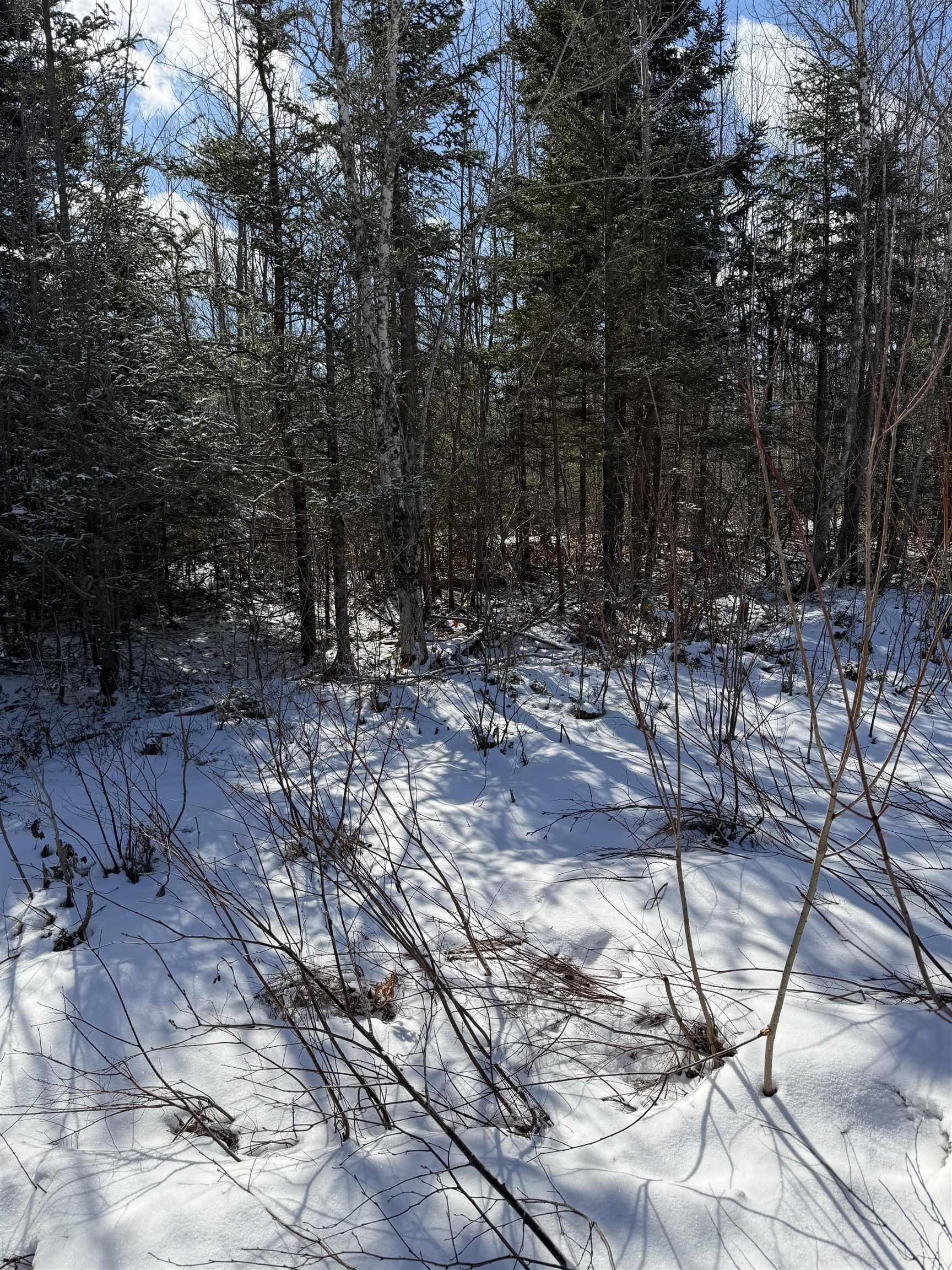 $84,990.00: 78 Acres Lake Road, French River