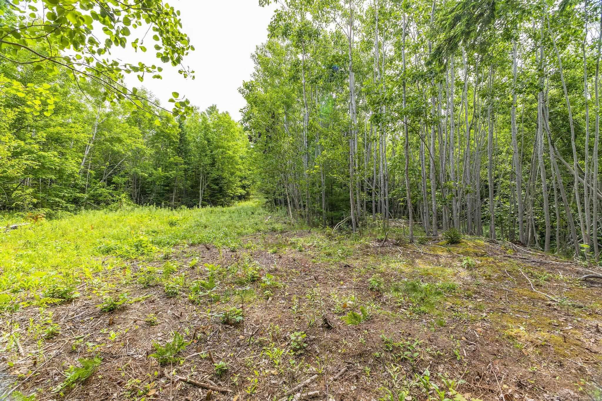 River Road, Plymouth, NS (MLS® 202516690)