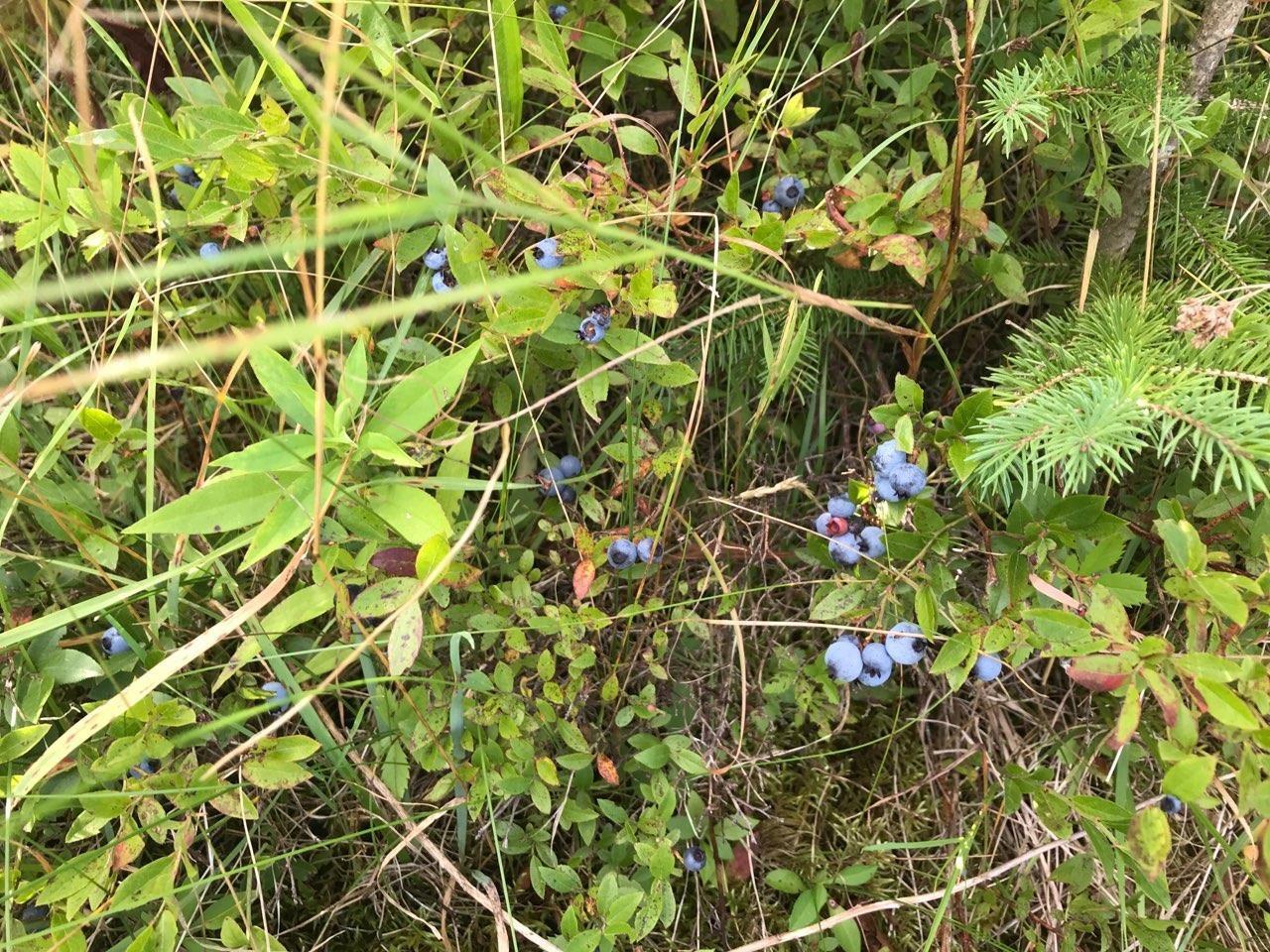 $85,000.00: 75 Evanston Rd, Cleveland