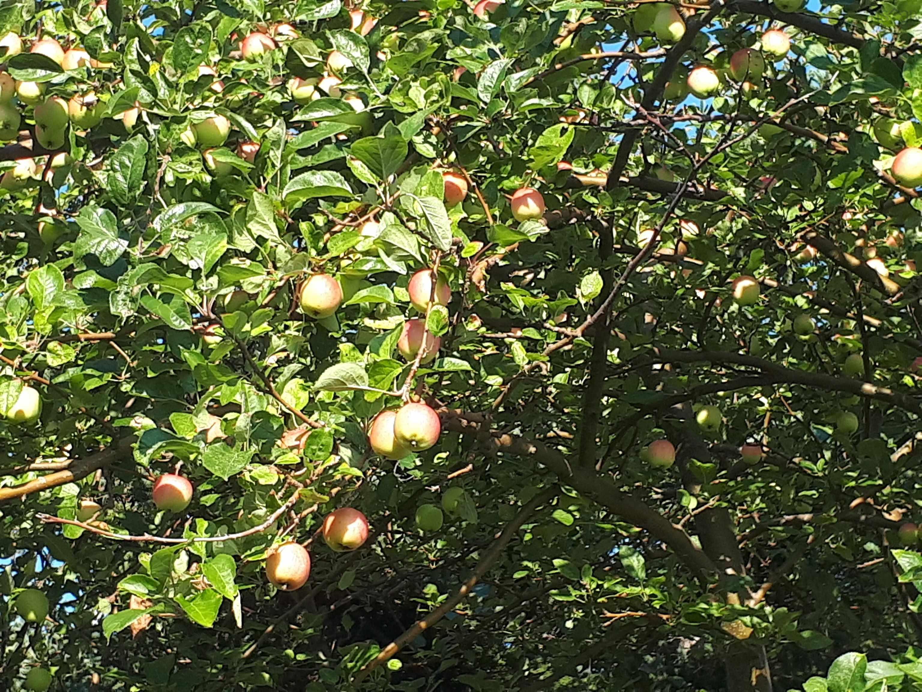 $85,000.00: 75 Evanston Rd, Cleveland