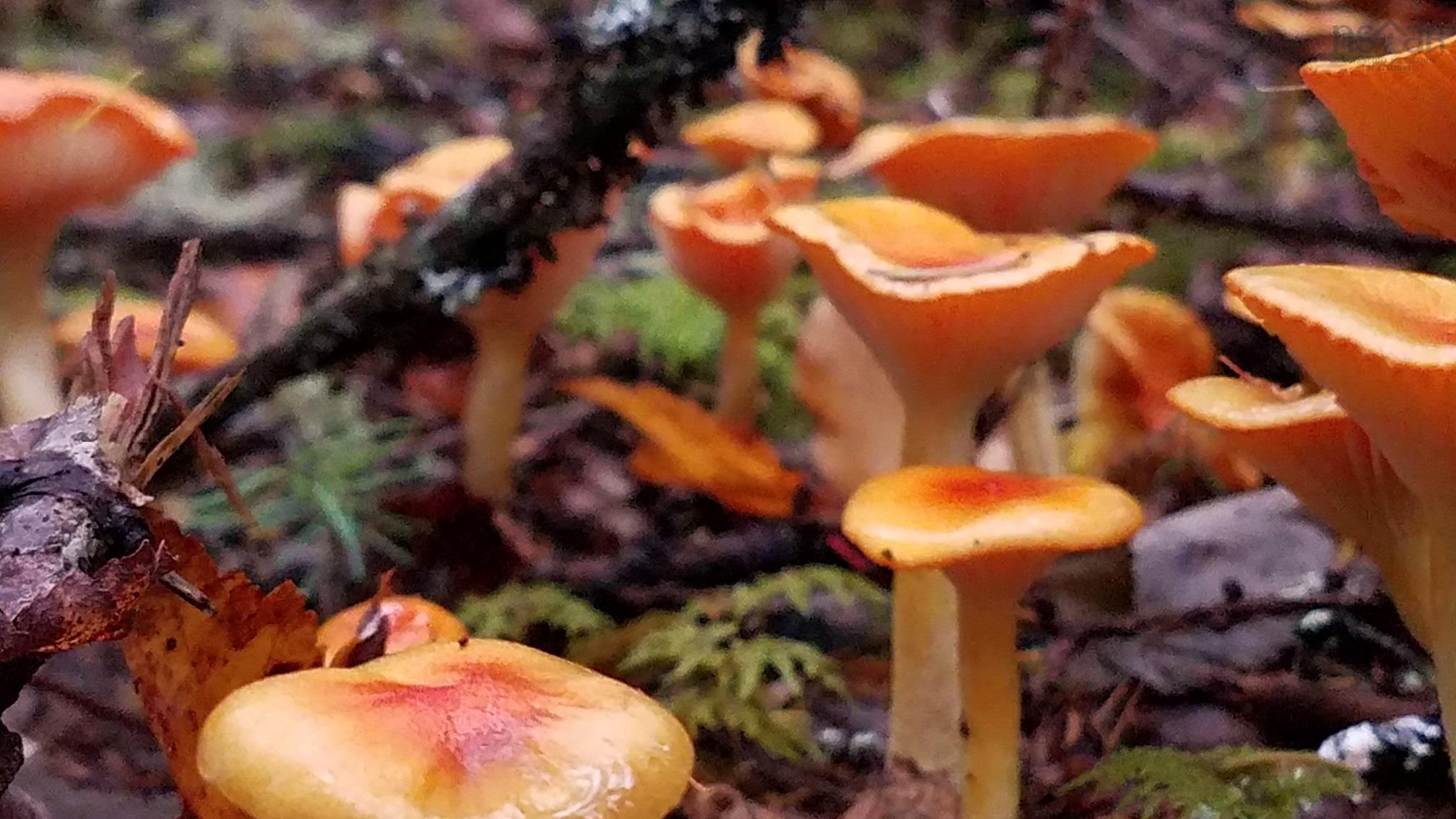 $85,000.00: 75 Evanston Rd, Cleveland