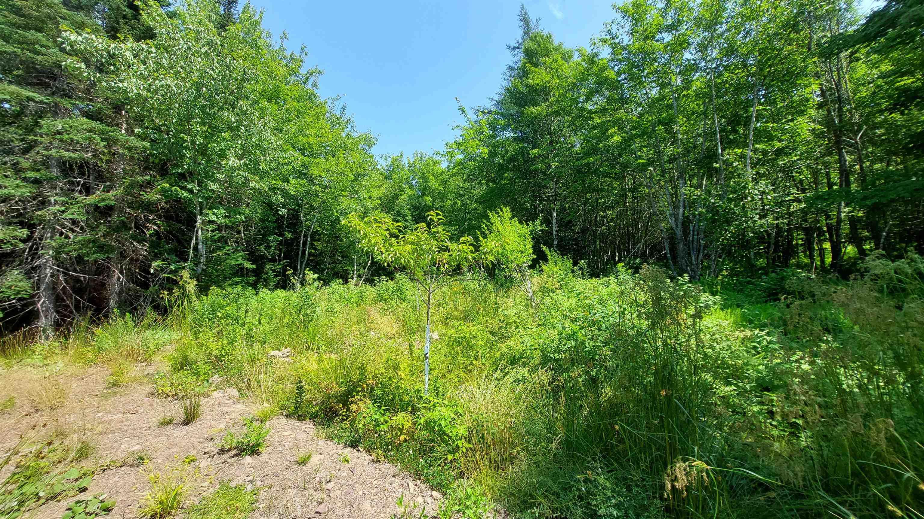 $85,000.00: 75 Evanston Rd, Cleveland