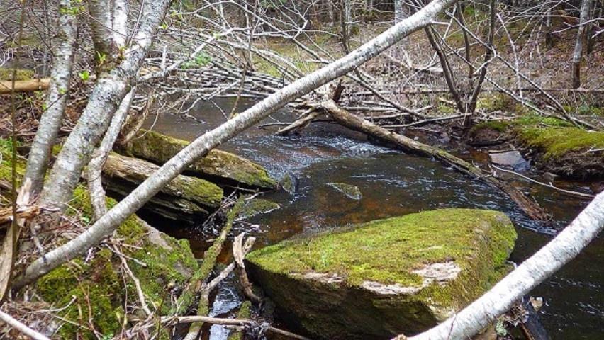 $85,000.00: 75 Evanston Rd, Cleveland